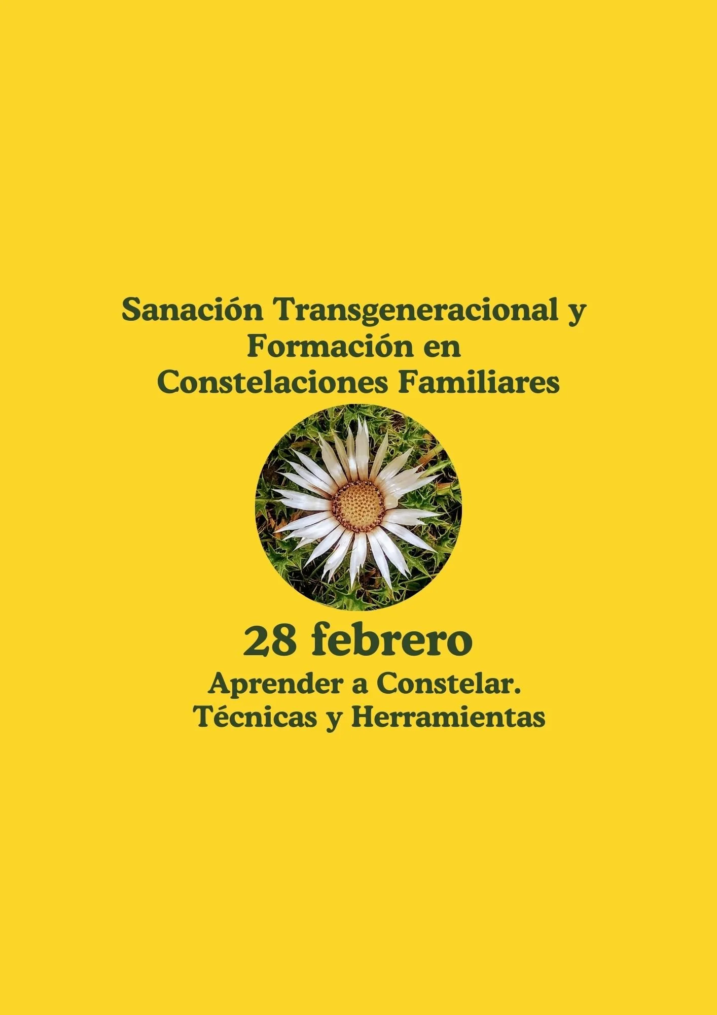Sanación y Formación 5: Aprender a Constelar. Técnicas y Herramientas.