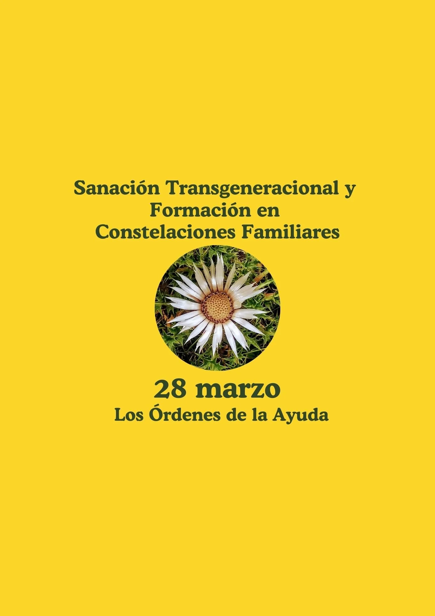 Sanación y Formación 6: Los Órdenes de la Ayuda