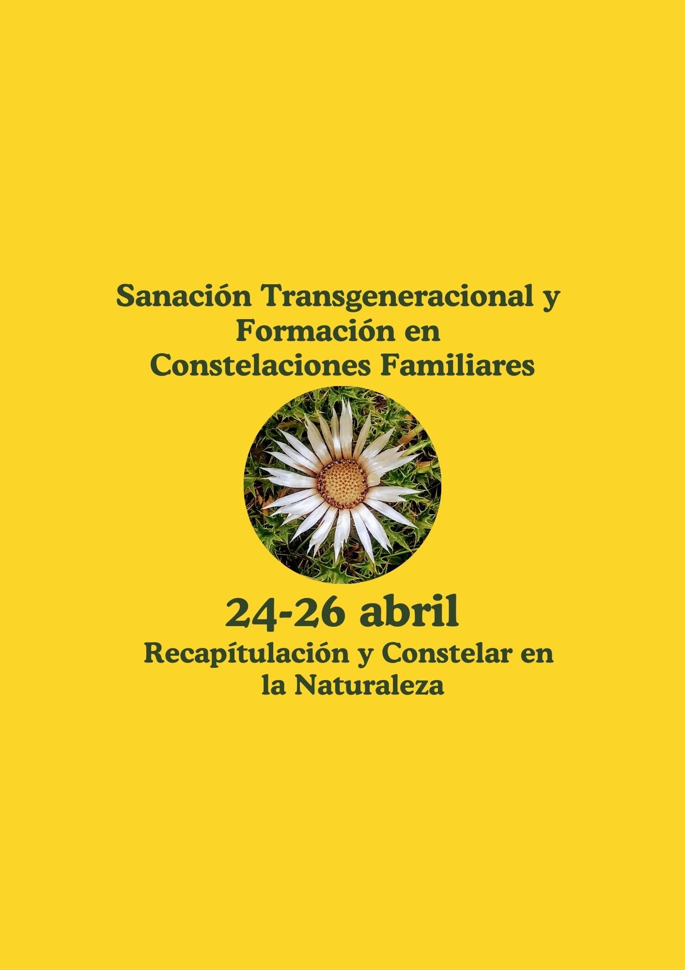 Sanación y Formación 7: Recapitulación y Constelar en la Naturaleza