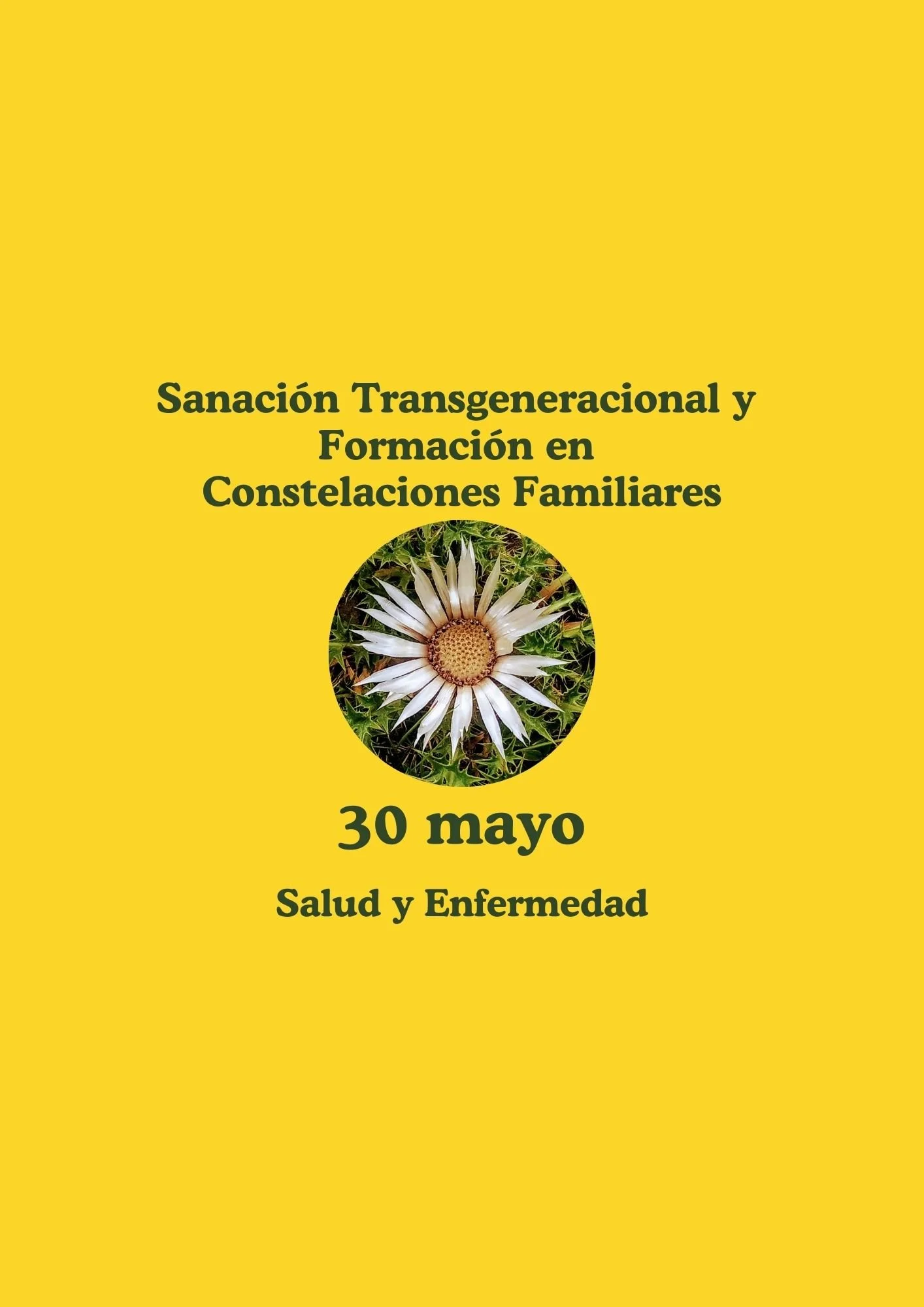 Sanación y Formación 8: Salud y Enfermedad