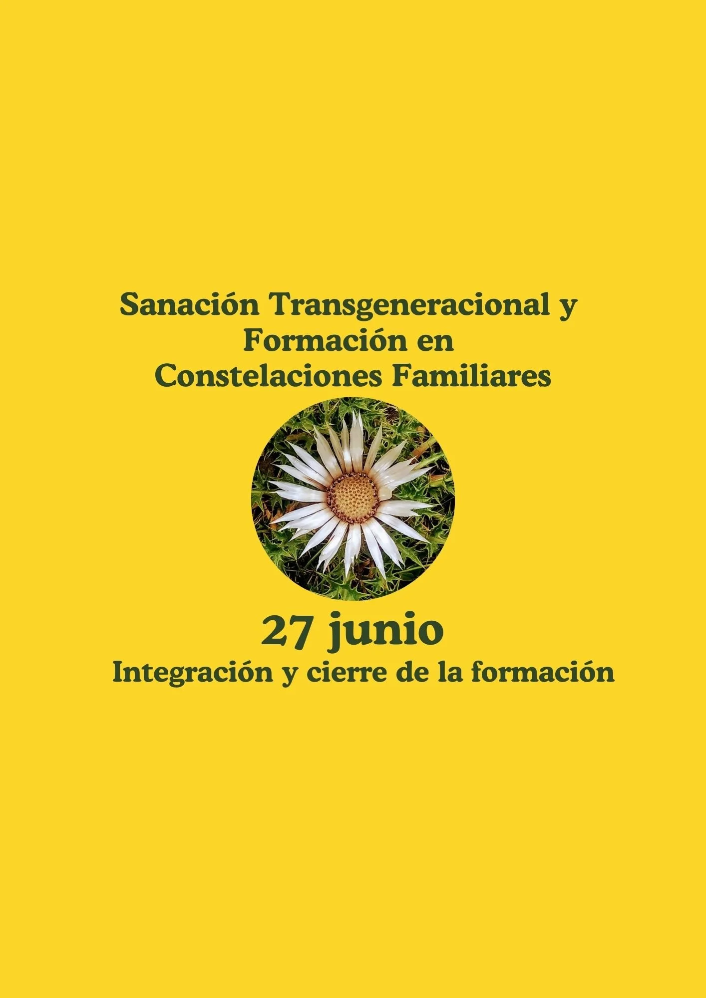 Sanación y Formación 9: Integración y cierre de la formación