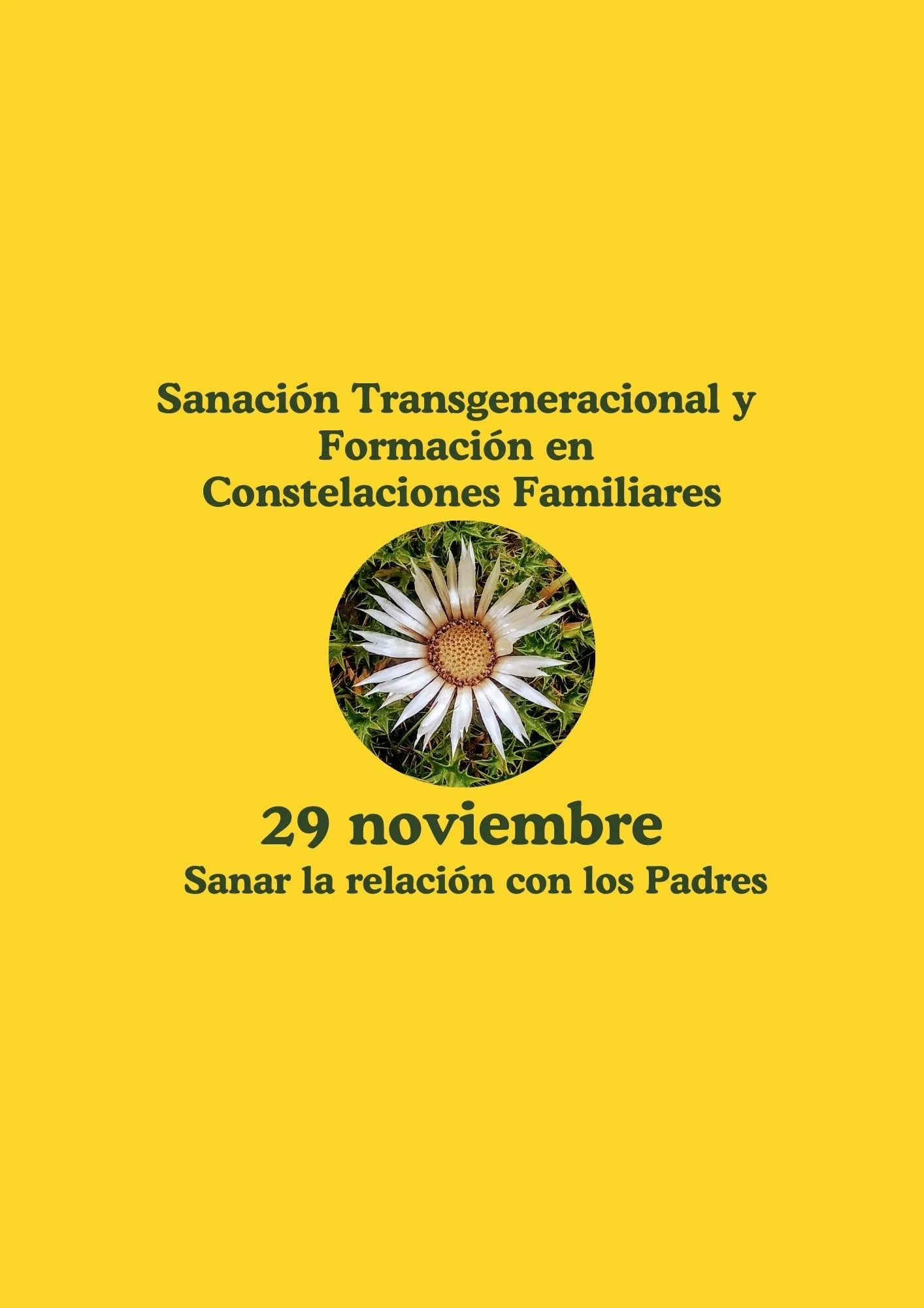 Sanación y Formación 3: Distorsiones del Sistema Familiar que afectan a sus integrantes y al conjunto del Sistema