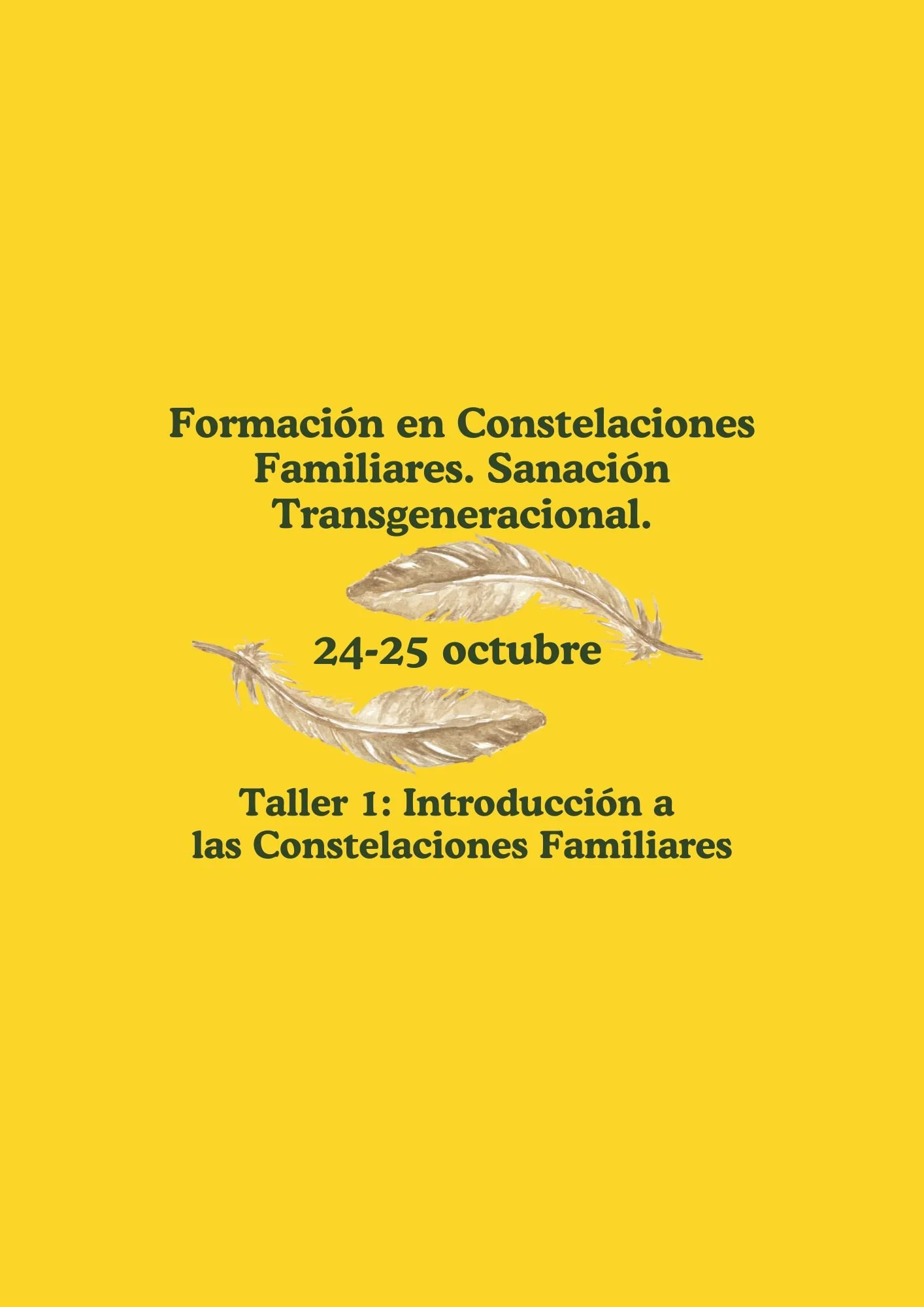 Formación en Constelaciones: Introducción