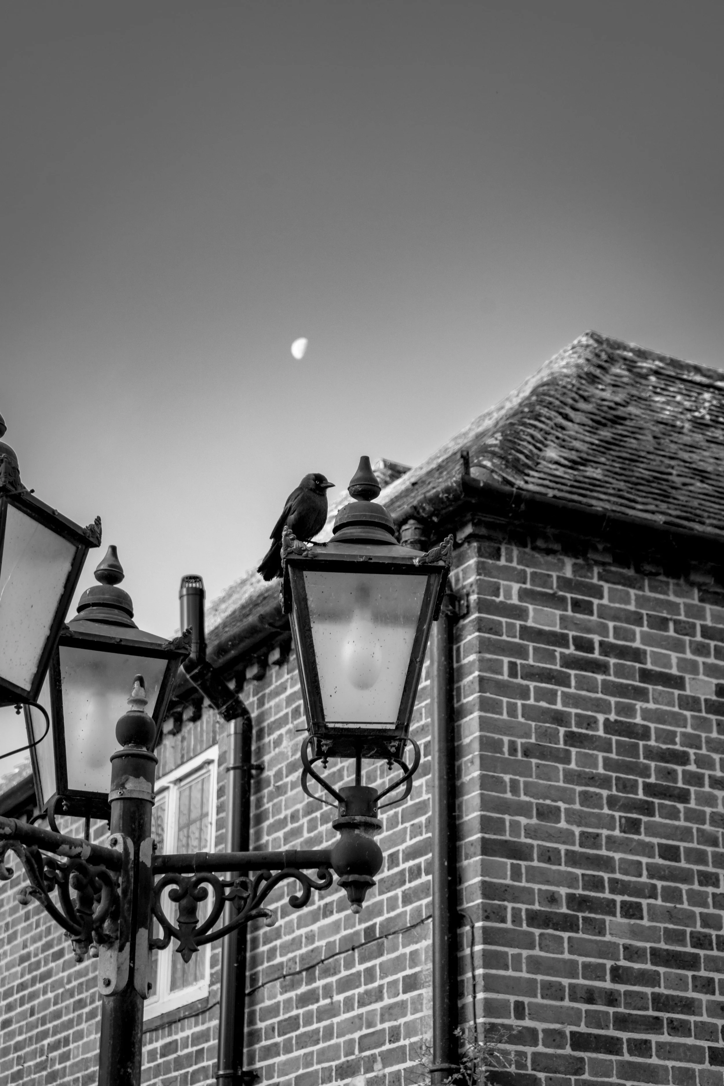 LQ-03657.jpg