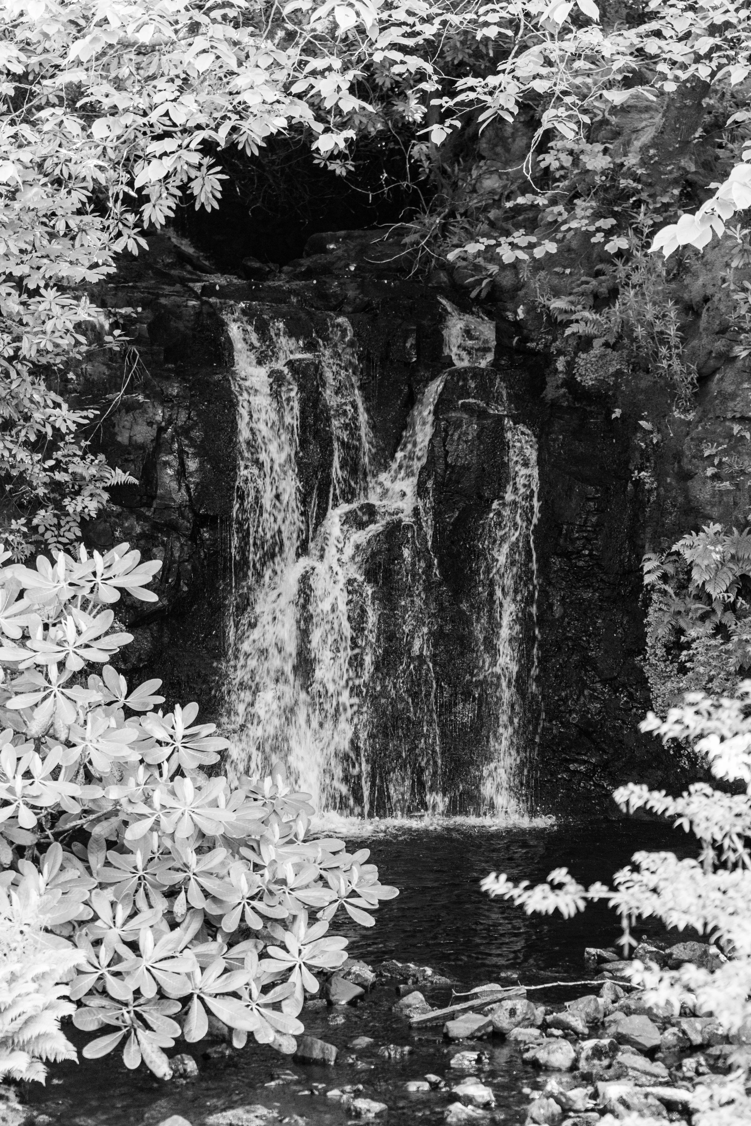 LQ-04814.jpg