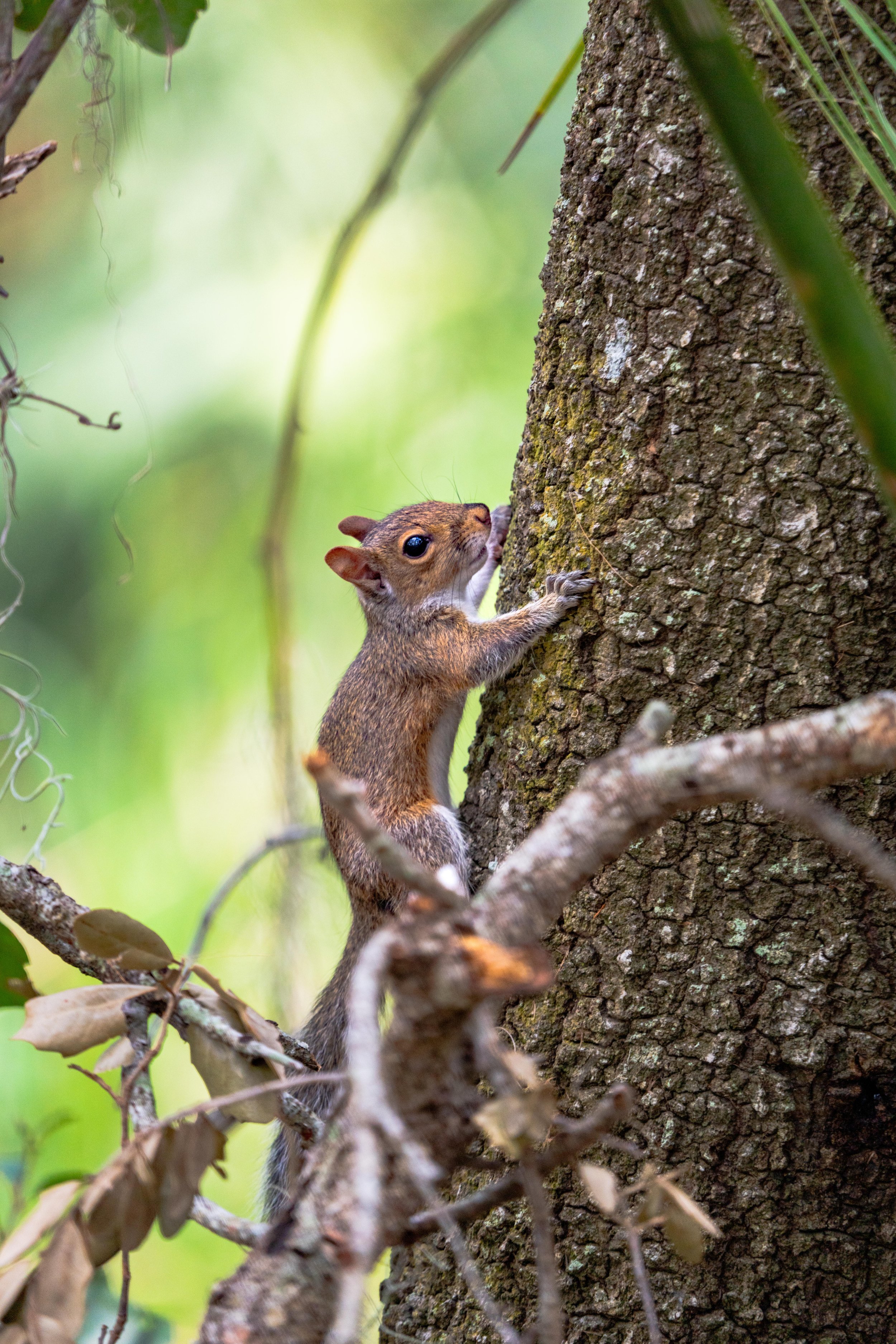 LQ Wildlife late 24-20.jpg