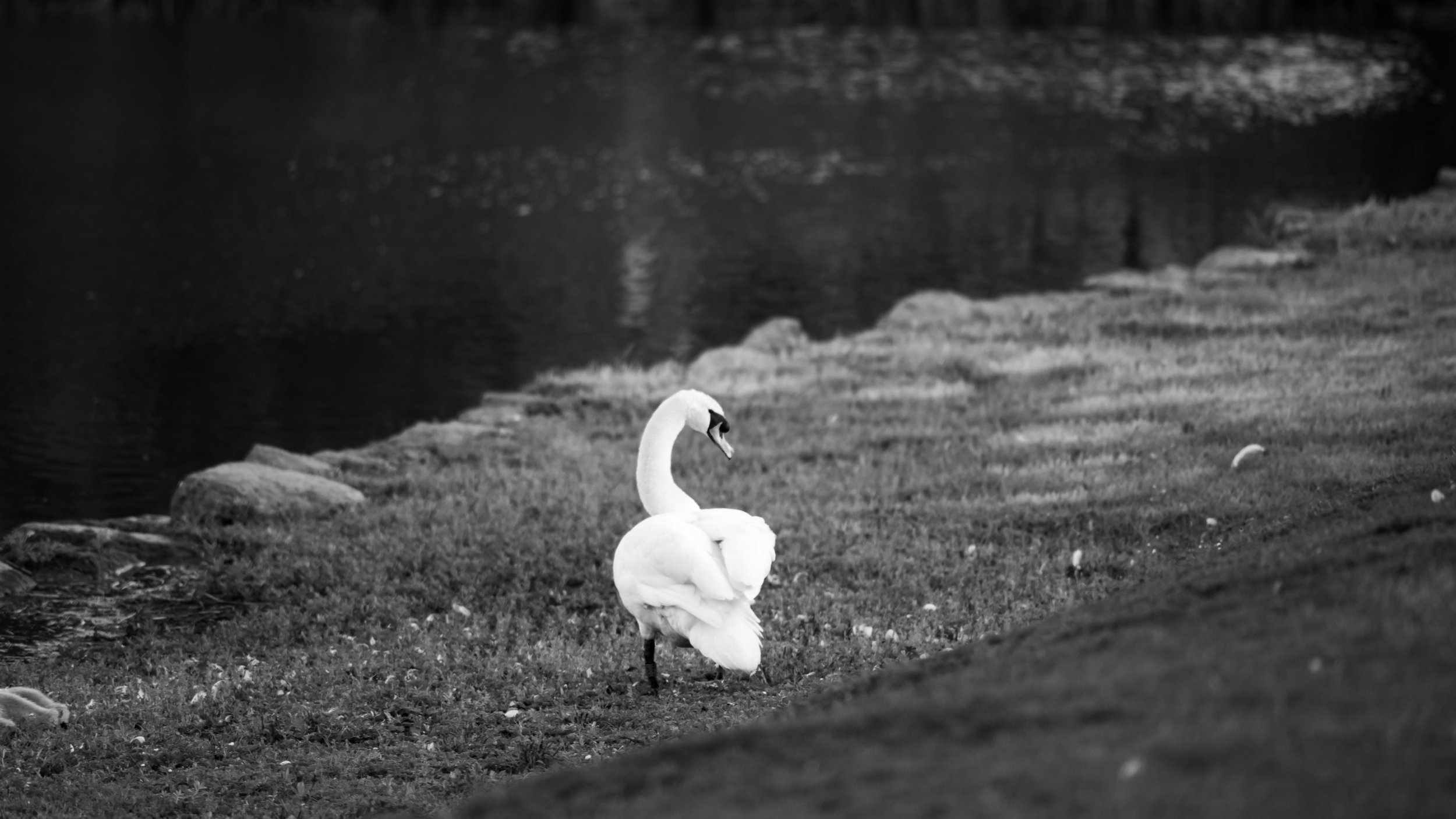 LQ-03403.jpg
