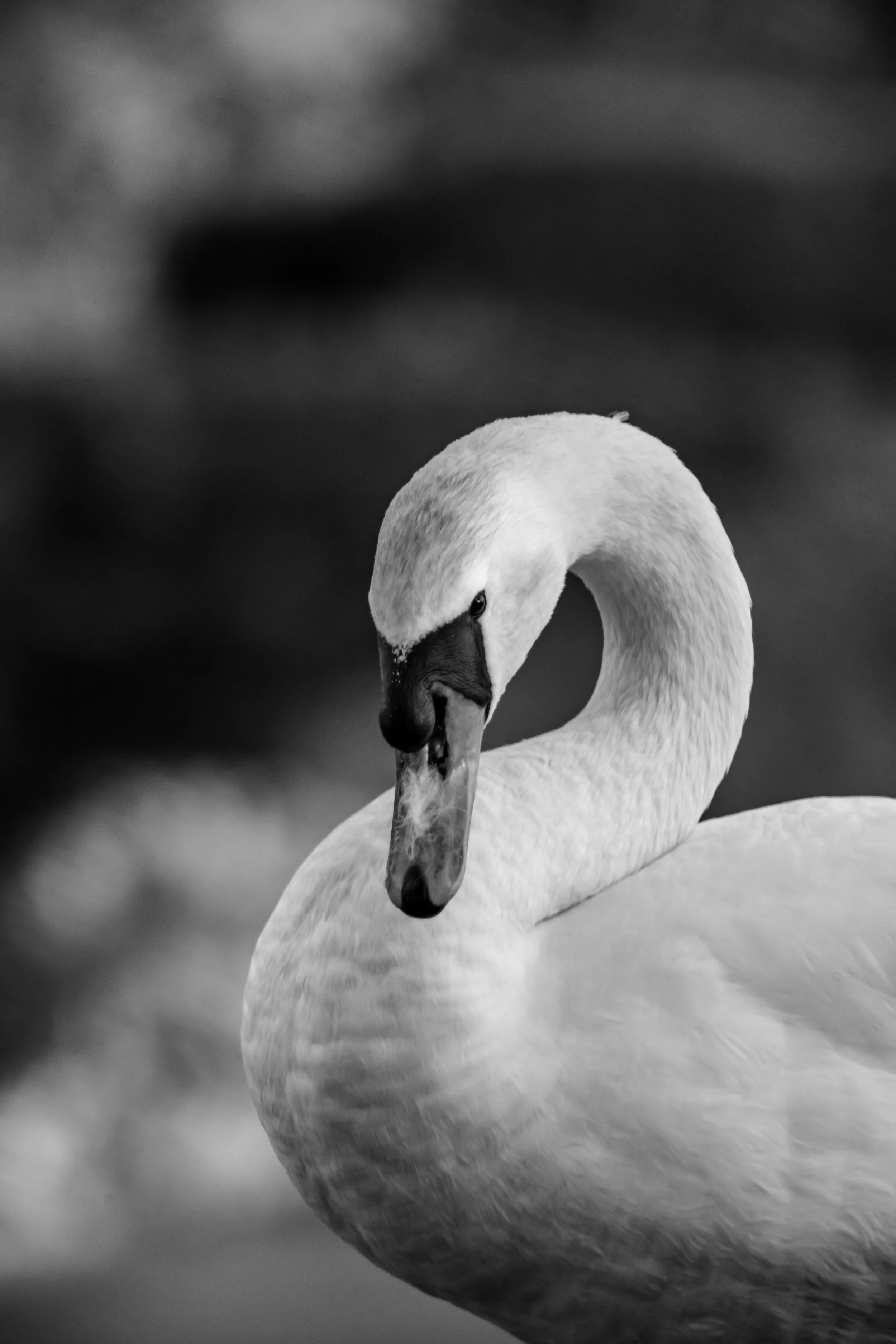 LQ-03612.jpg