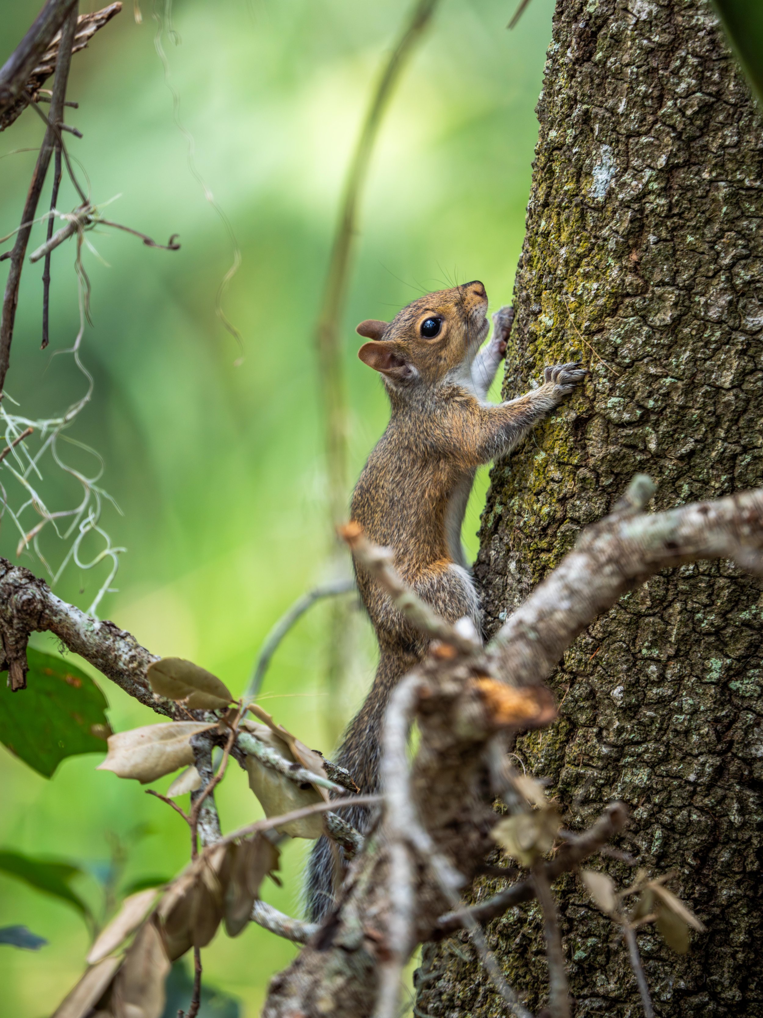 LQ Wildlife late 24-17.jpg