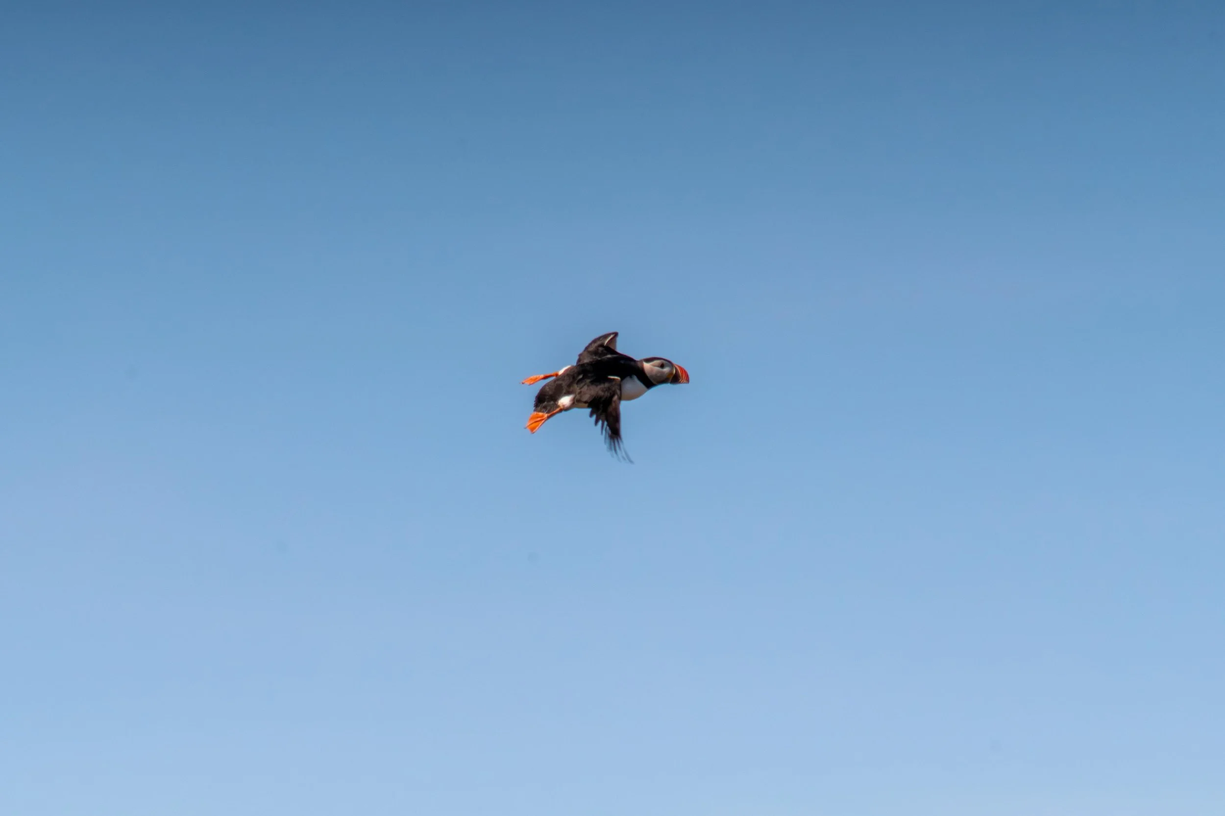 LQ-05638.jpg