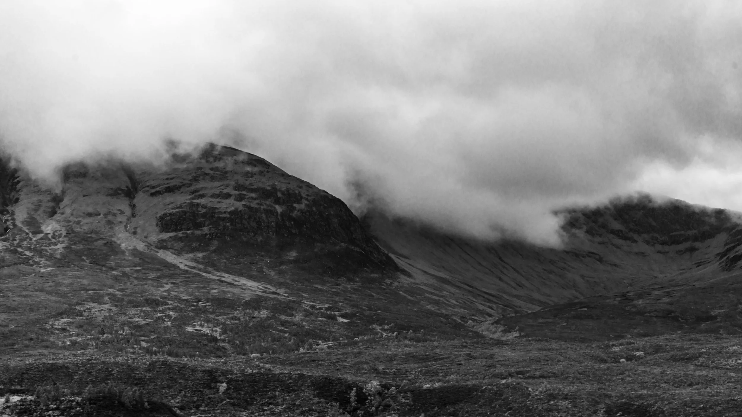 LQ-04408.jpg