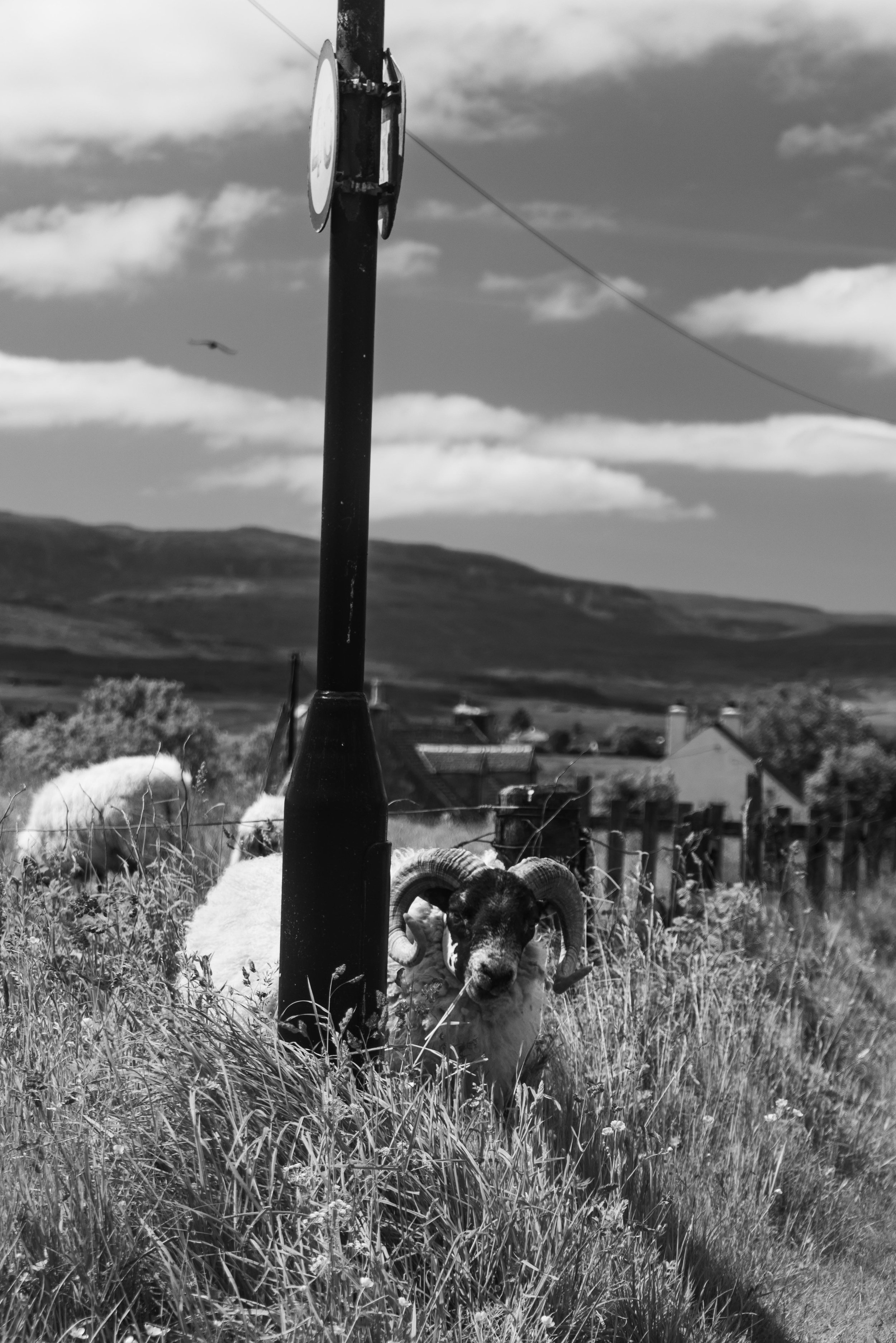 LQ-04787.jpg