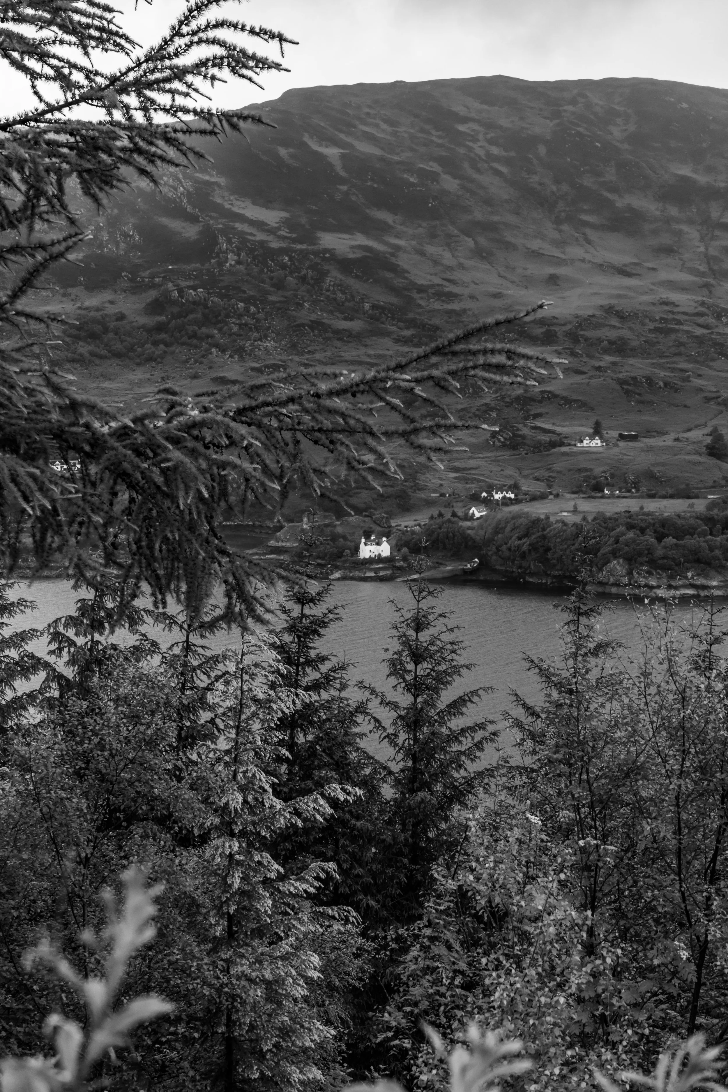 LQ-04454.jpg