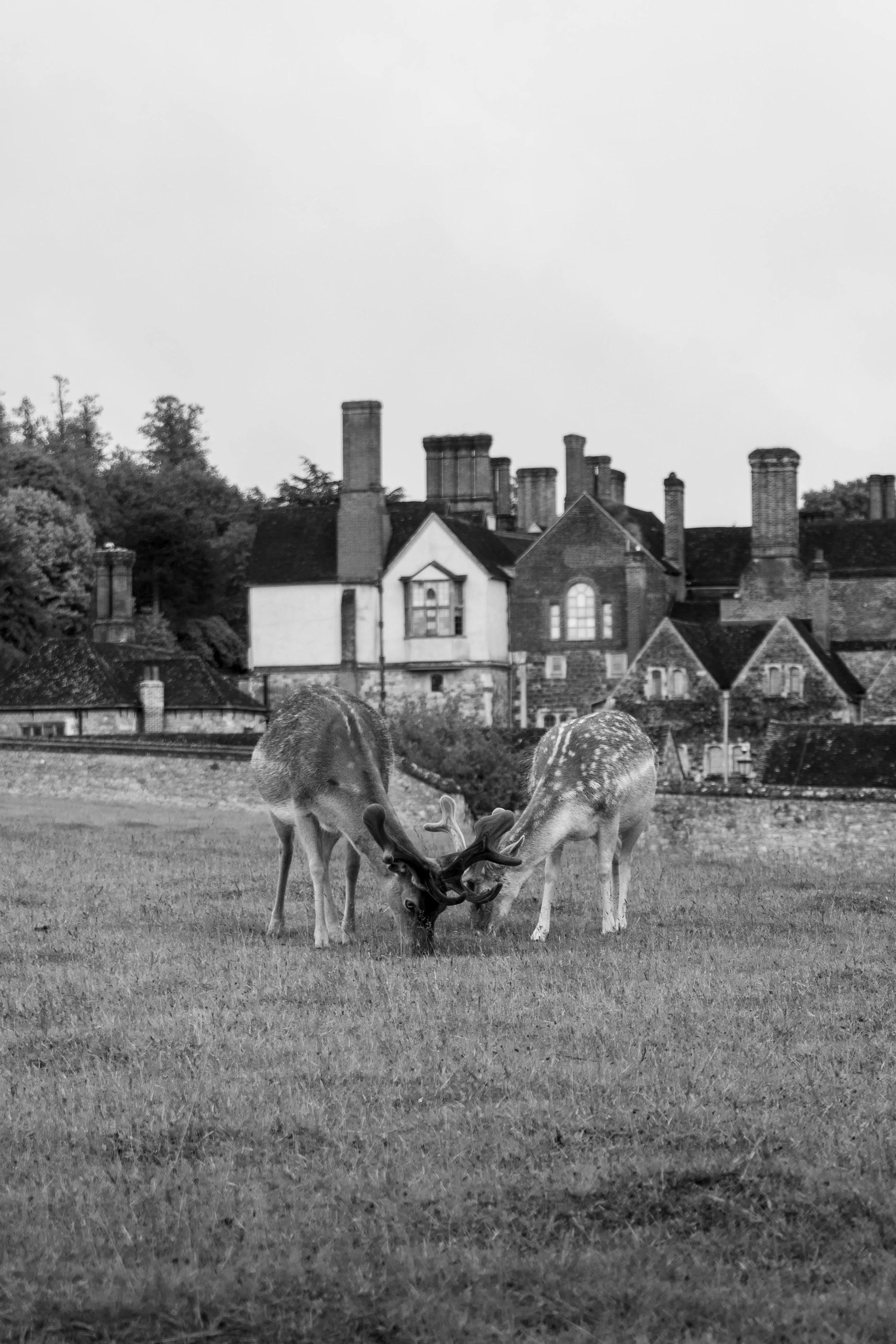 LQ-04013.jpg