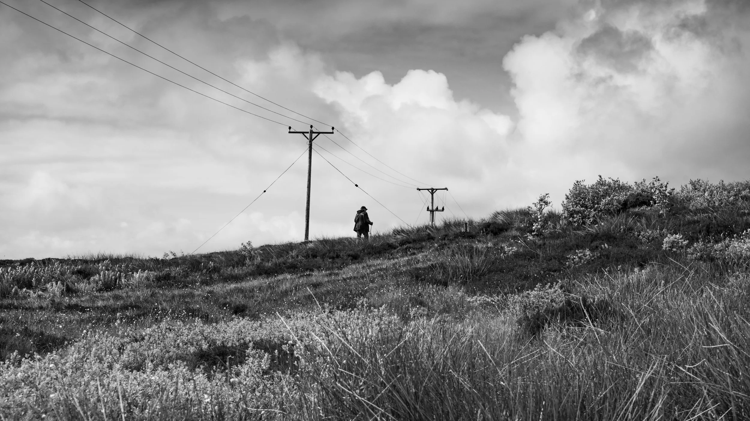 LQ-04651.jpg