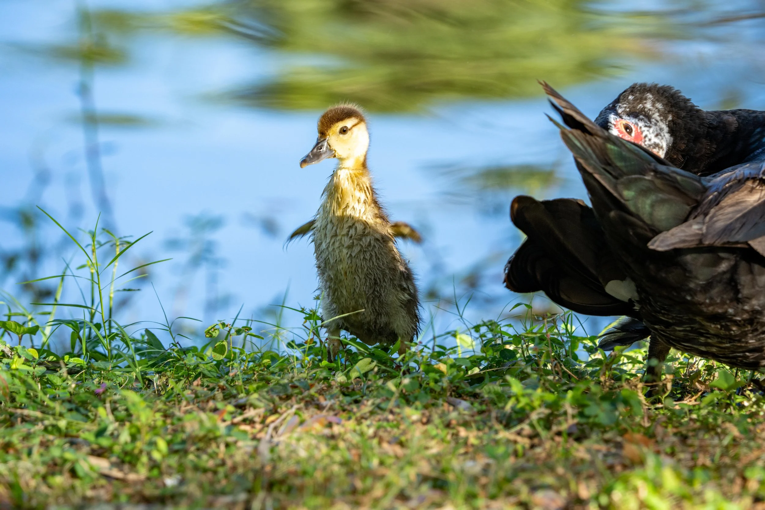LQ Wildlife late 24-37.jpg