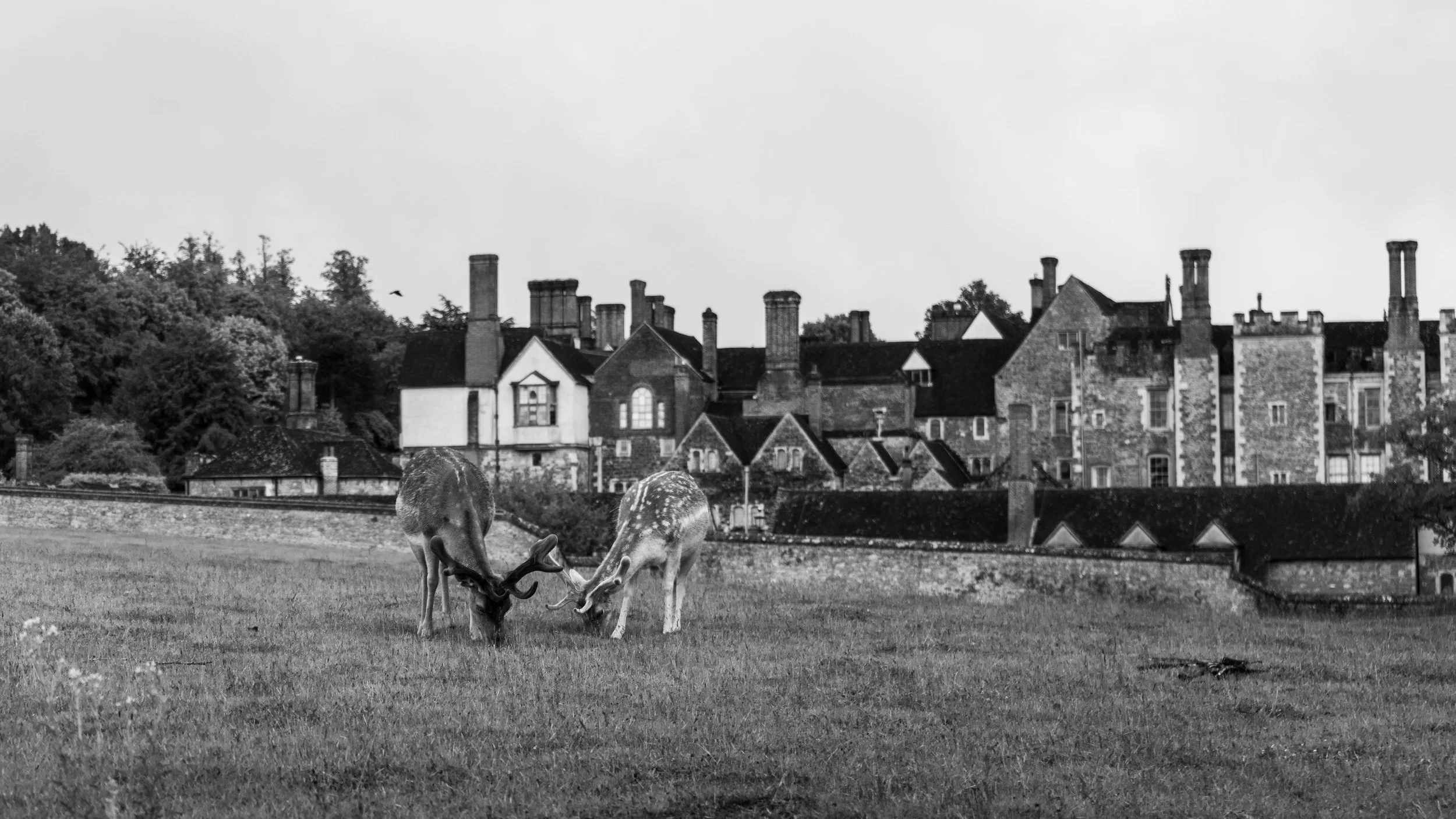 LQ-04010.jpg