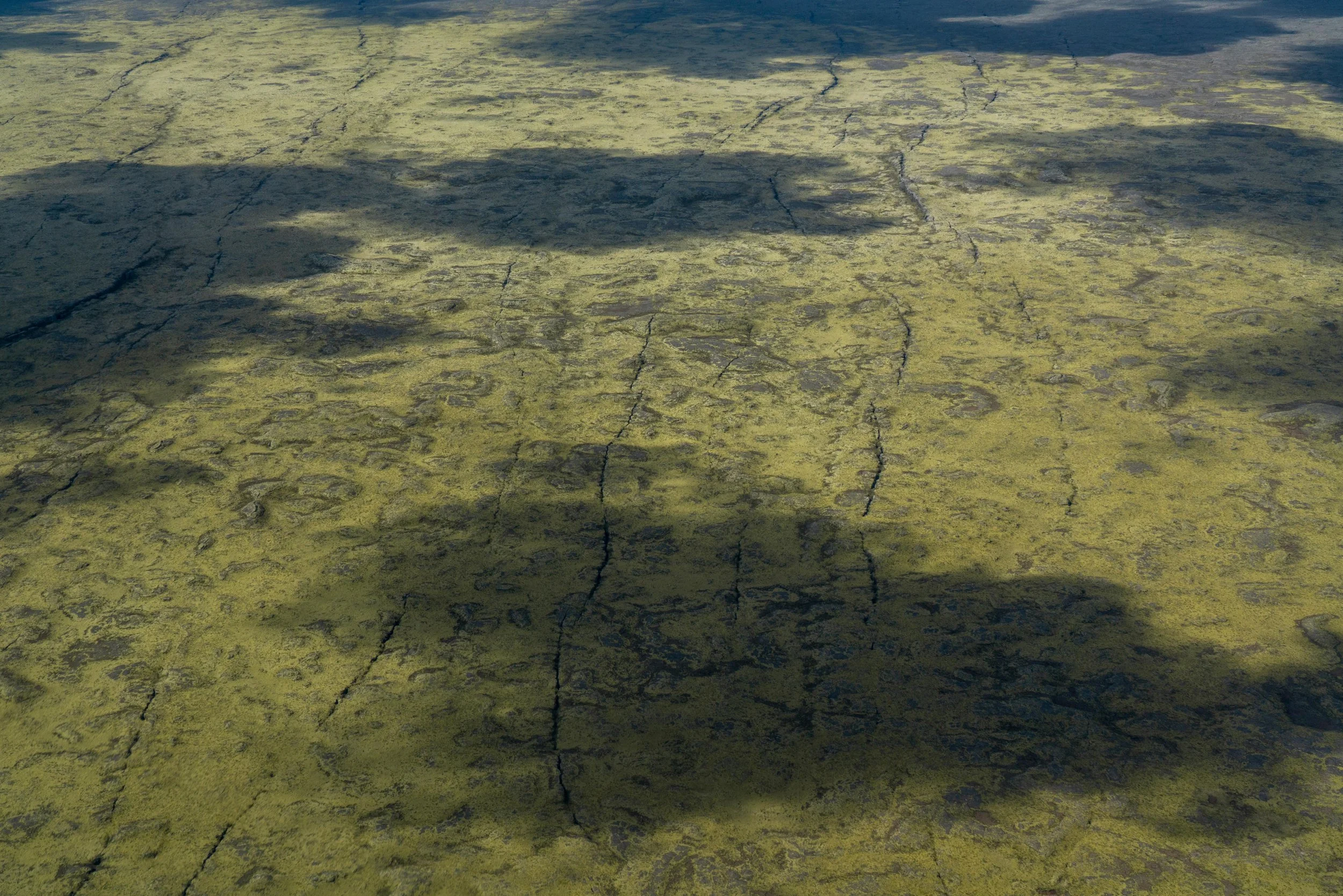LQ-03309.jpg