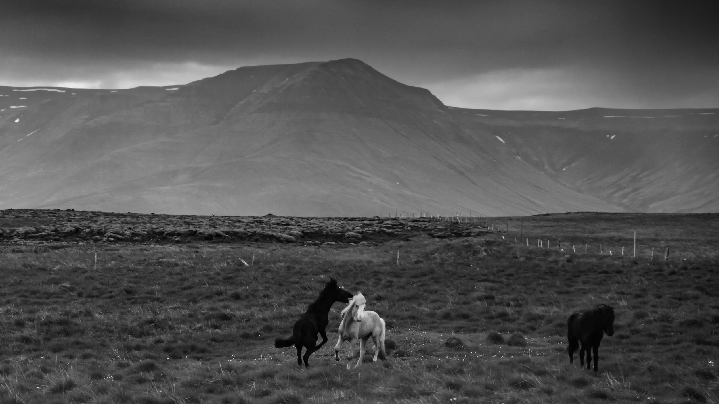 LQ-05392.jpg
