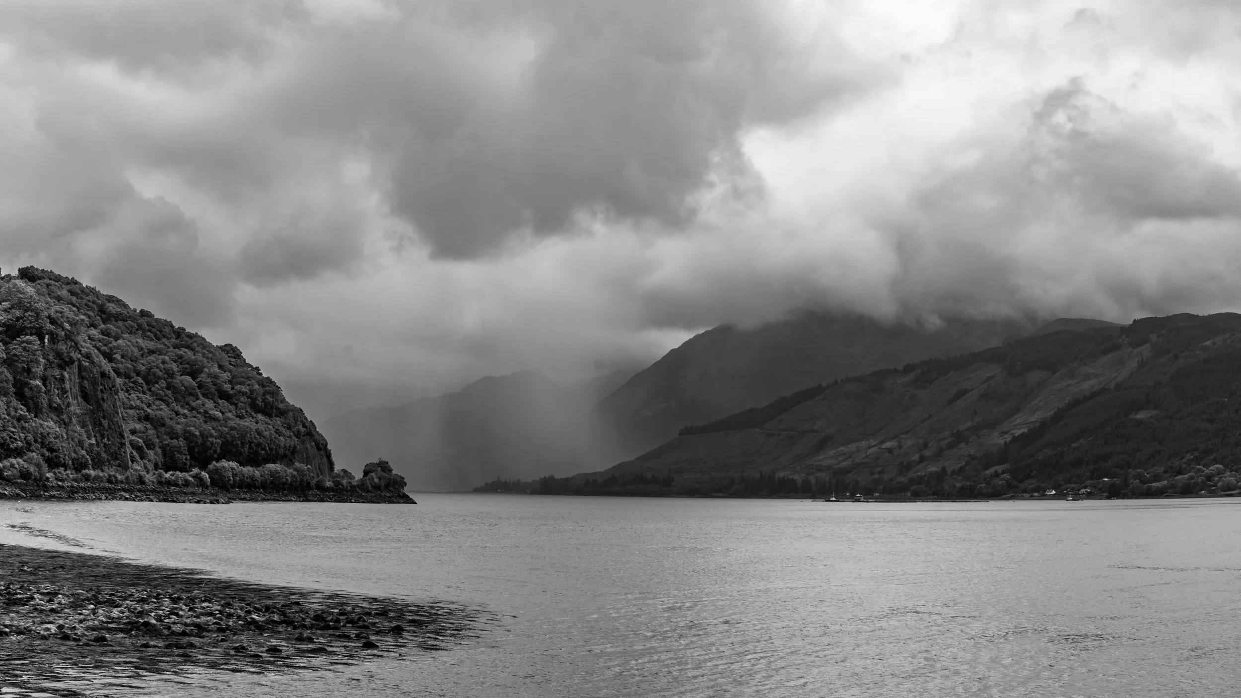 LQ--5.jpg