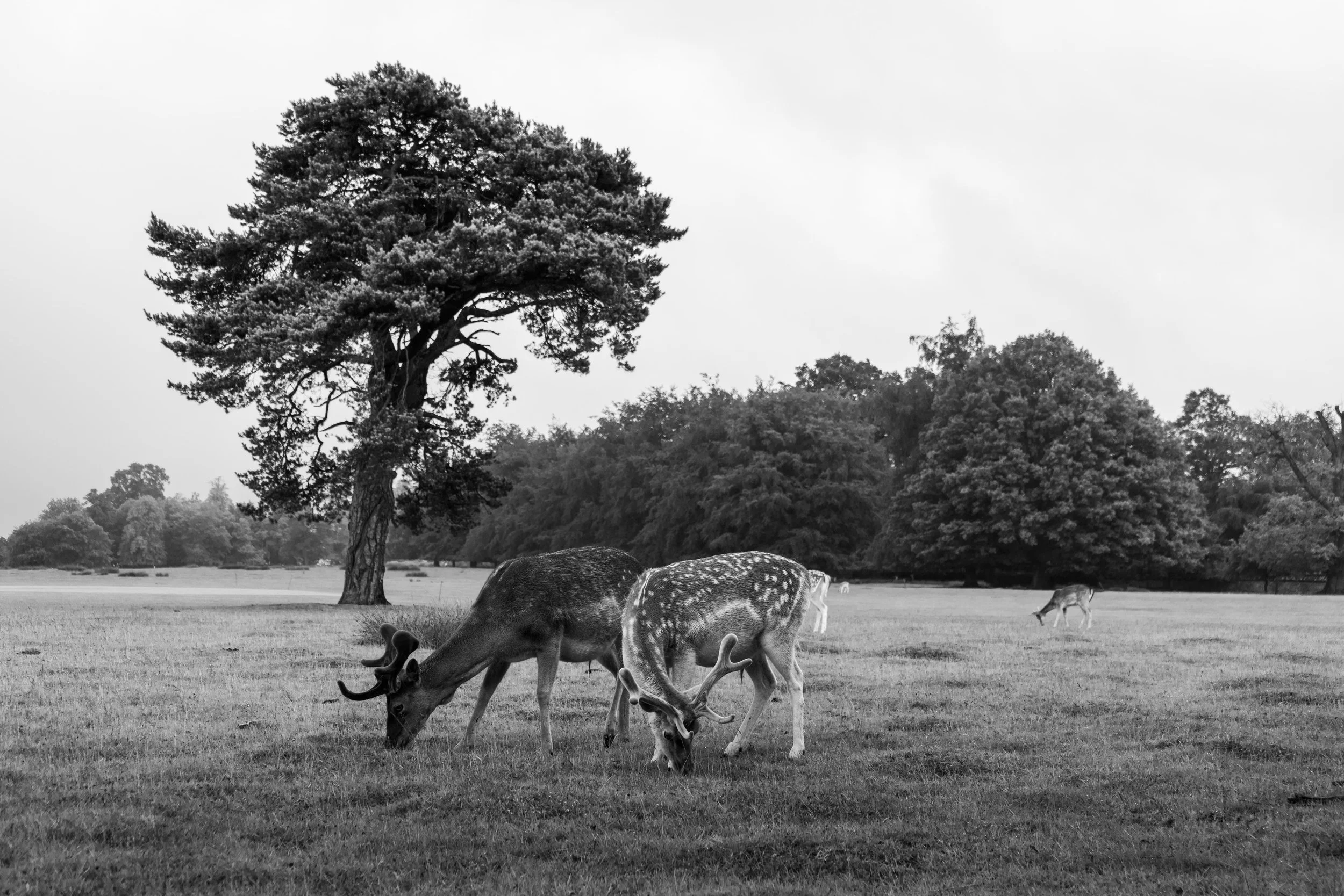 LQ-04028.jpg