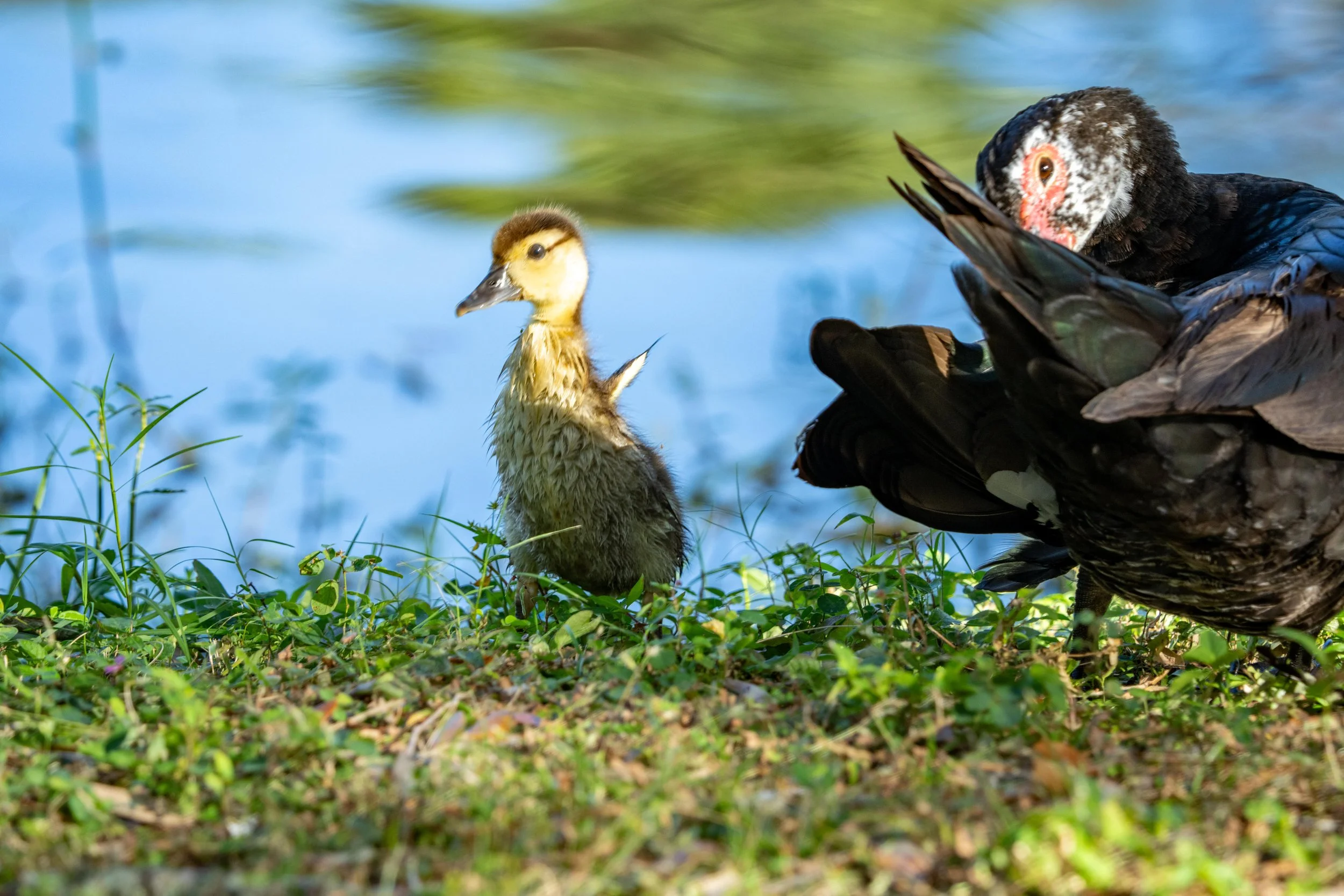 LQ Wildlife late 24-38.jpg