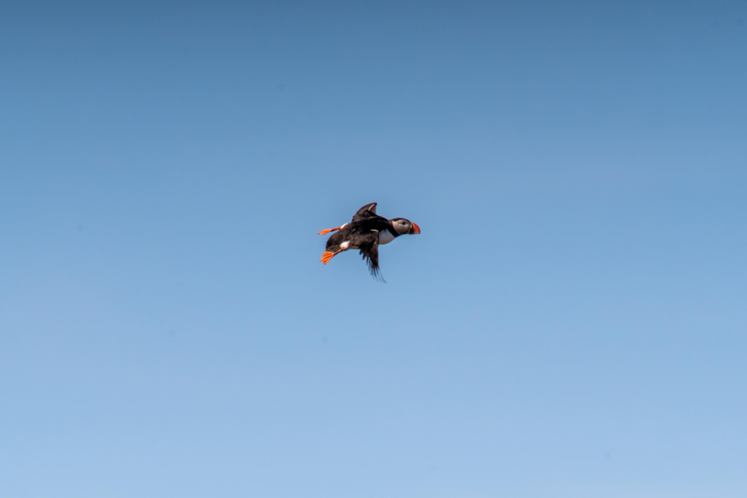 LQ-05638.jpg