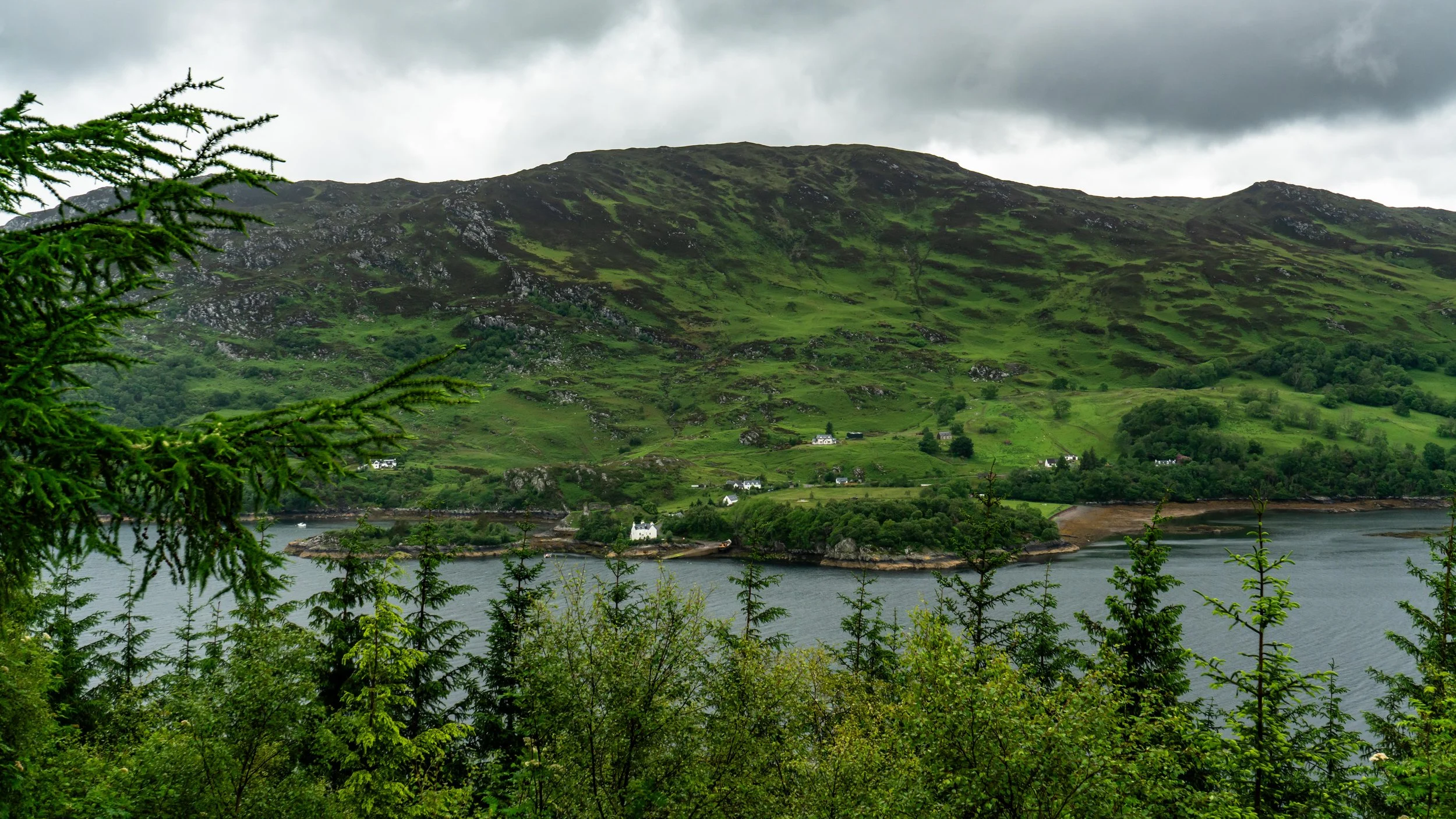 LQ-04451.jpg