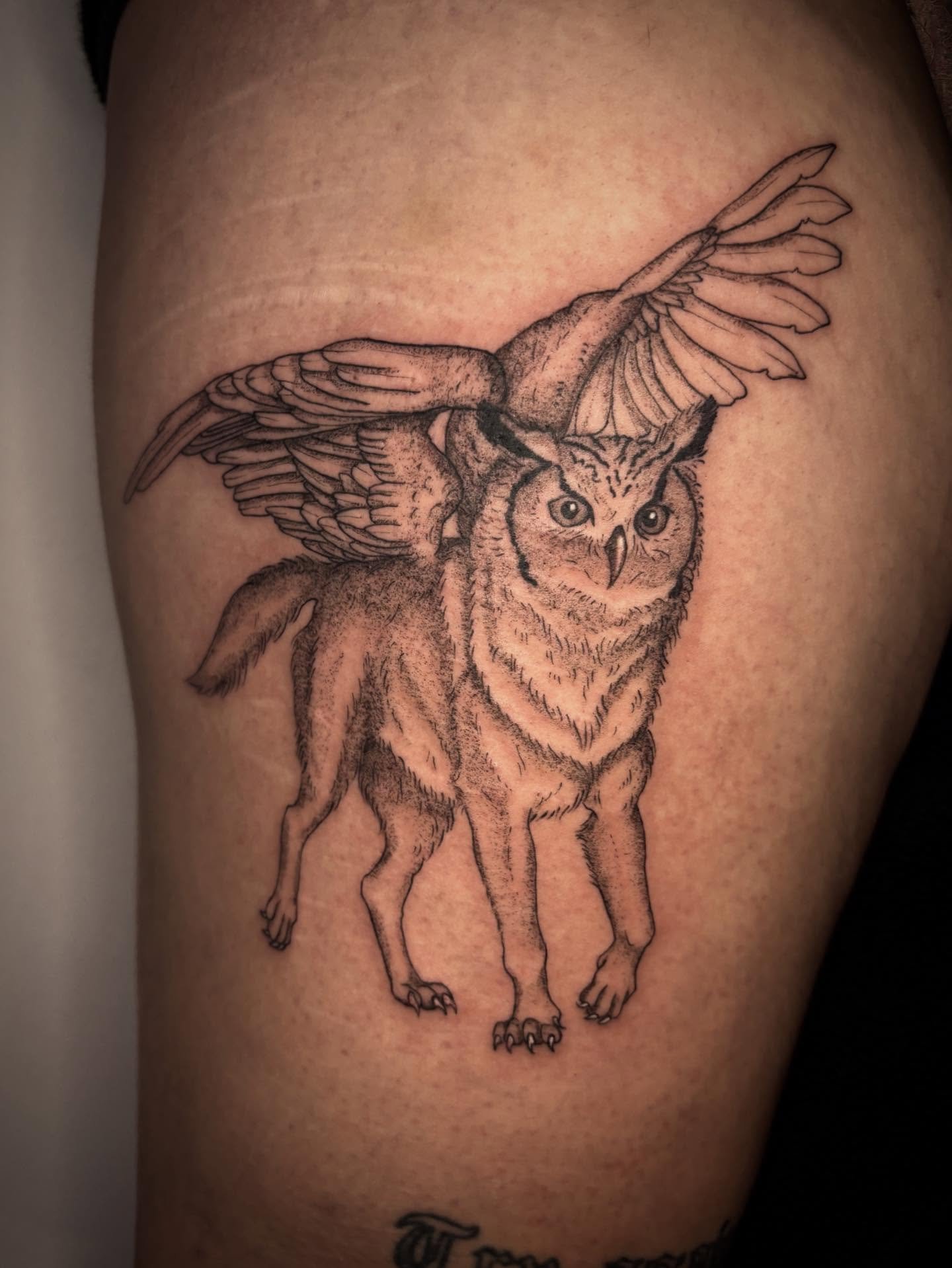 Le mythique Hibouloup 🦉 accompagne de sa compagne tentaculaire compl&egrave;tement gu&eacute;rie 😍
Cicatrisation PARFAITE 💞💞💞
Merci encore Rosie pour tes id&eacute;es folles 😍

#tattoo #animaltattoo #tatouage #owltattoo #octopustattoo