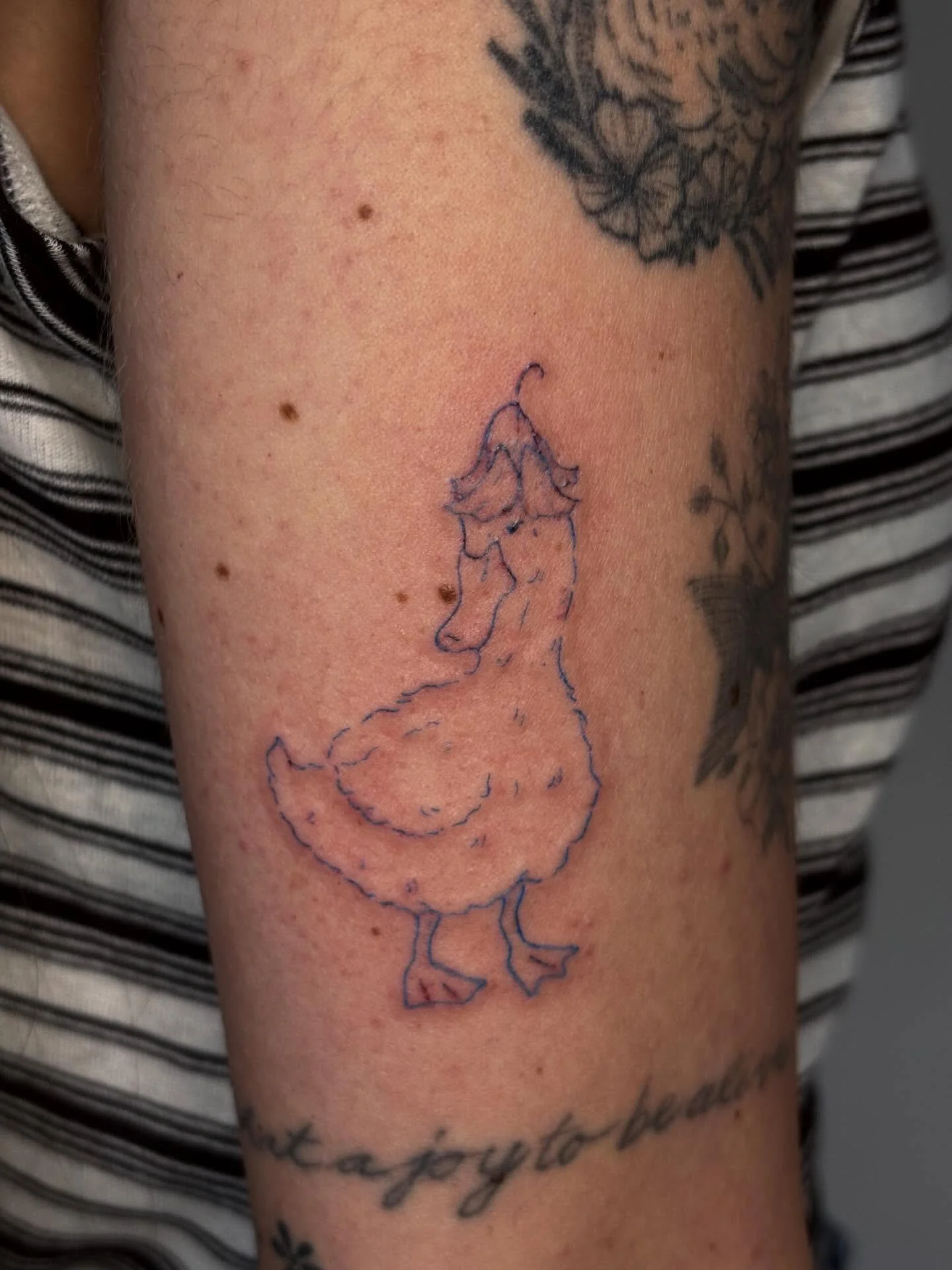 Un RDV, 2 projets, merci Ariane ❤️&zwj;🔥❤️&zwj;🔥

#tattoo #freckletattoo #tatouage #sabotagetattooqc #ducktattoo #duck #bluetattoo