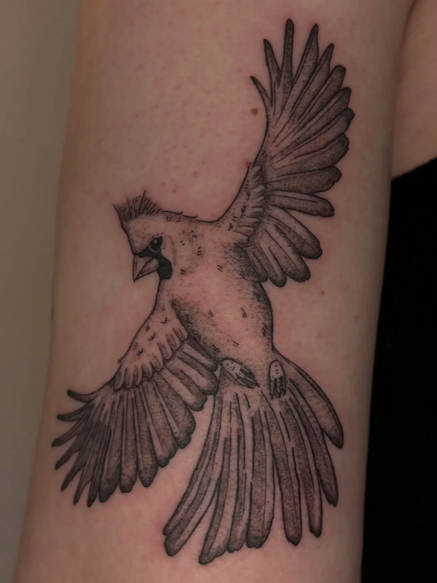 Tatouage d'un cardinal en vol, dessiné en style réaliste sur la peau.