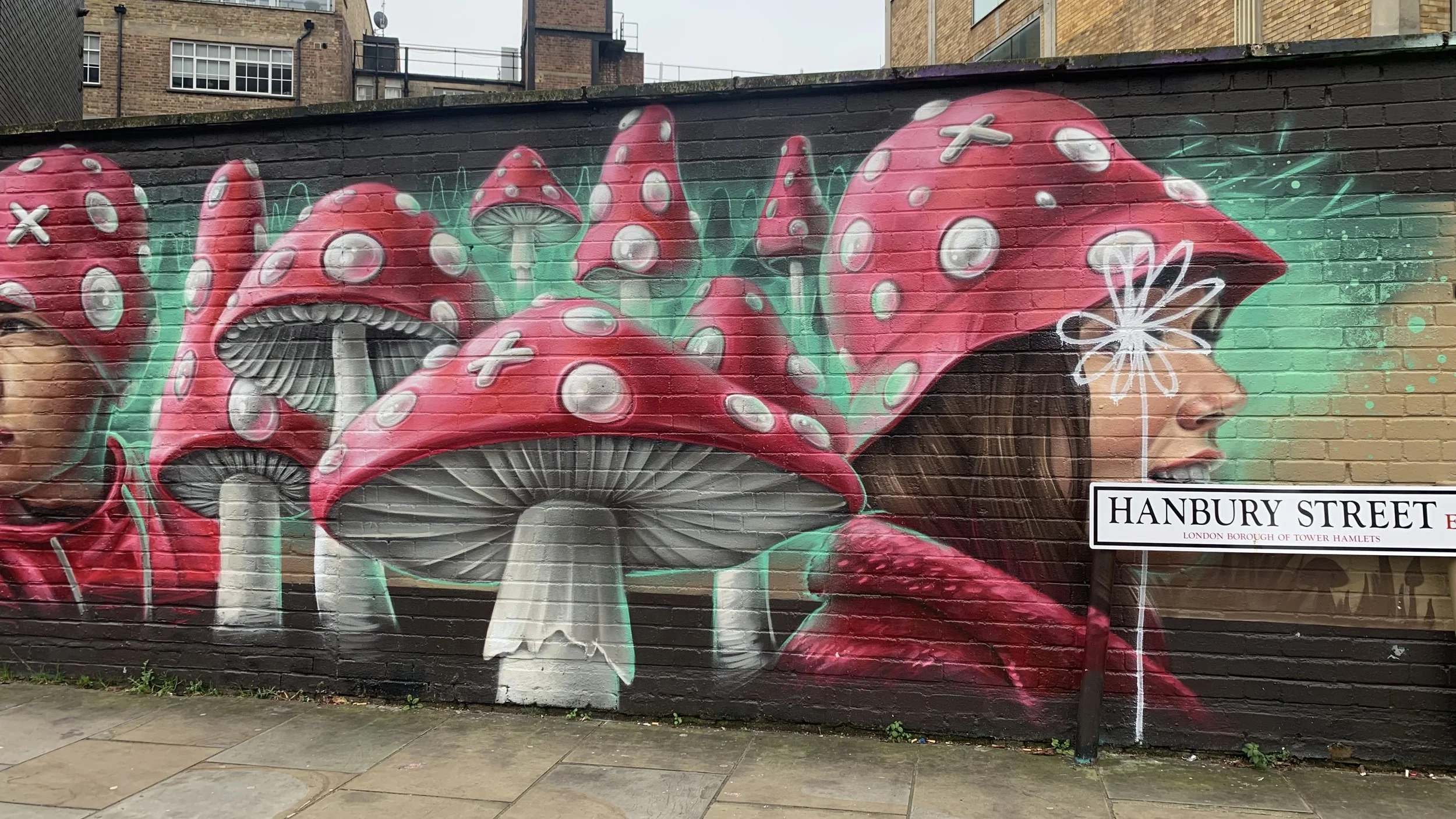 Toadxtools grafitti.jpg