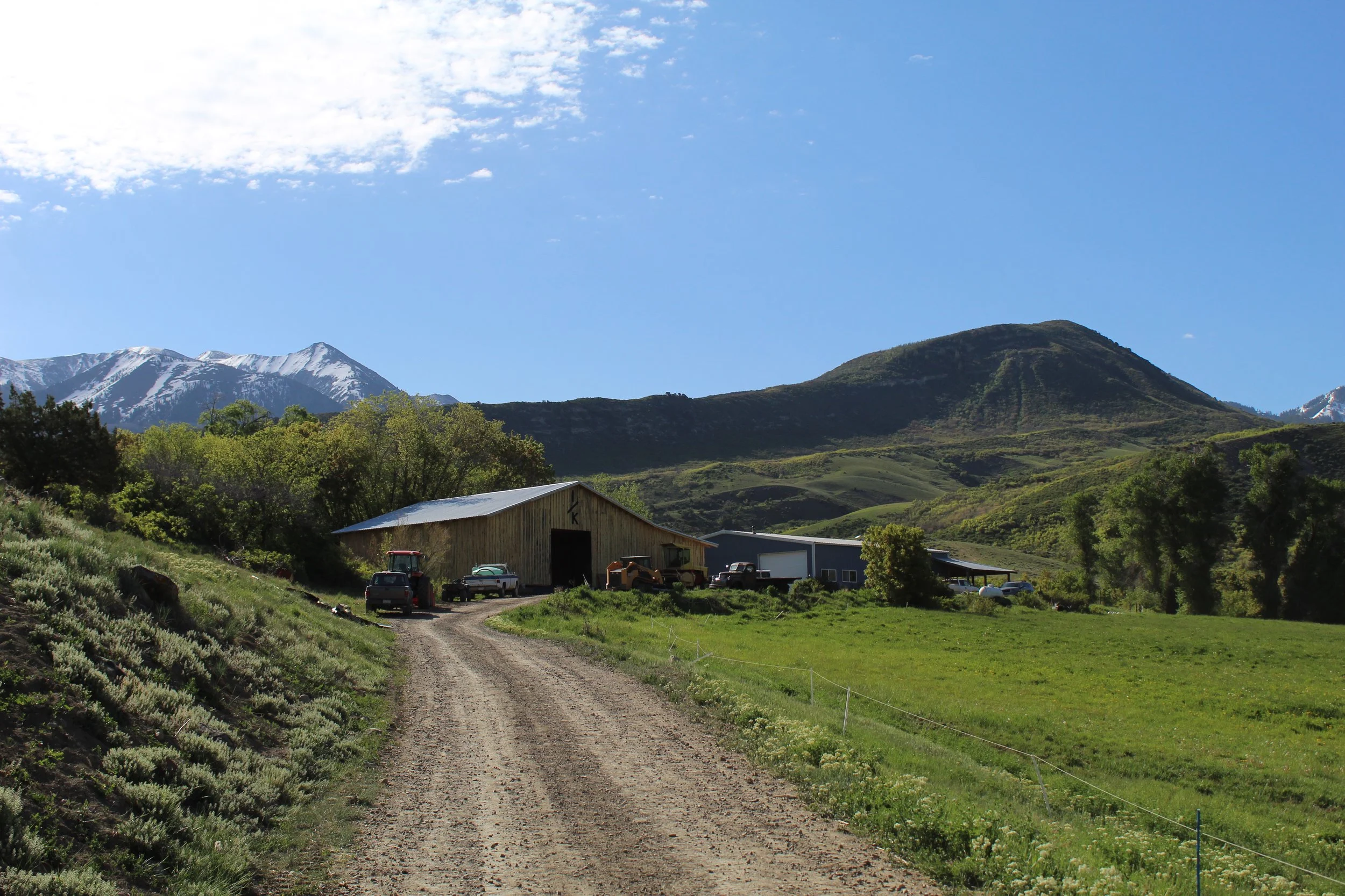 Scenic view of a rural landscape with a dirt road leading to farm buildings, surrounded by lush green fields, trees, and mountains with snow-capped peaks under a blue sky with scattered clouds.