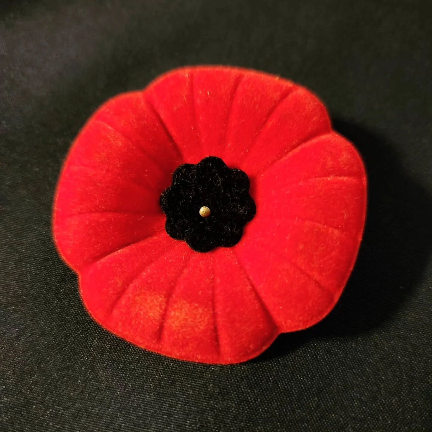 Today we remember those that served, and are currently serving our country. They stood up for freedom and fought against evil, to protect everything we have today. Many made the ultimate sacrifice. We are eternally greatful for your service. Thank yo