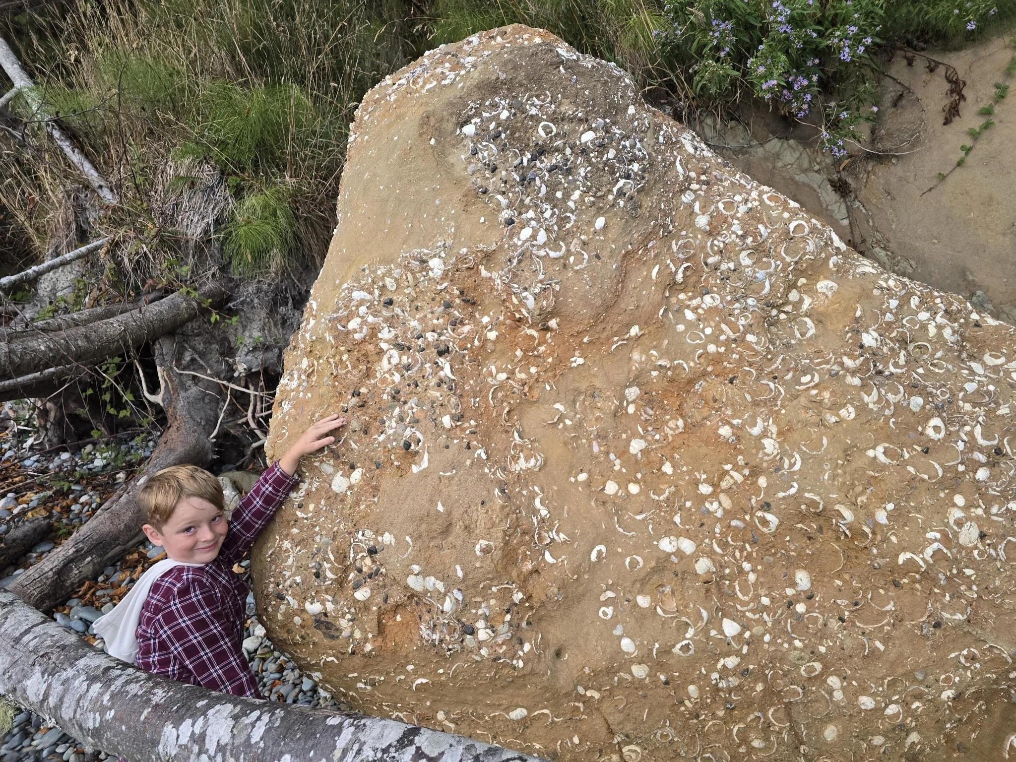 February 2026, Issue 11