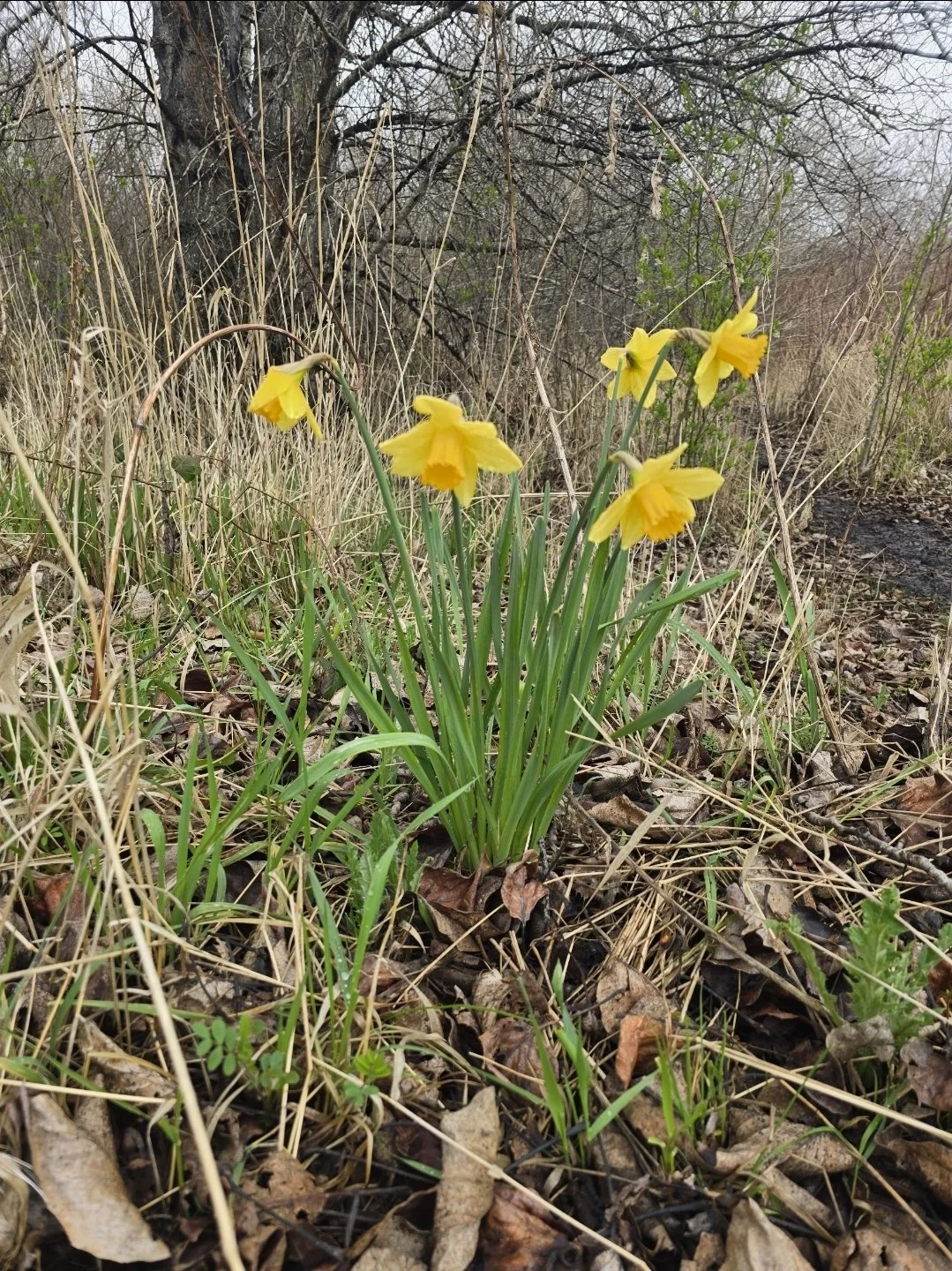 March 2026, Issue 12