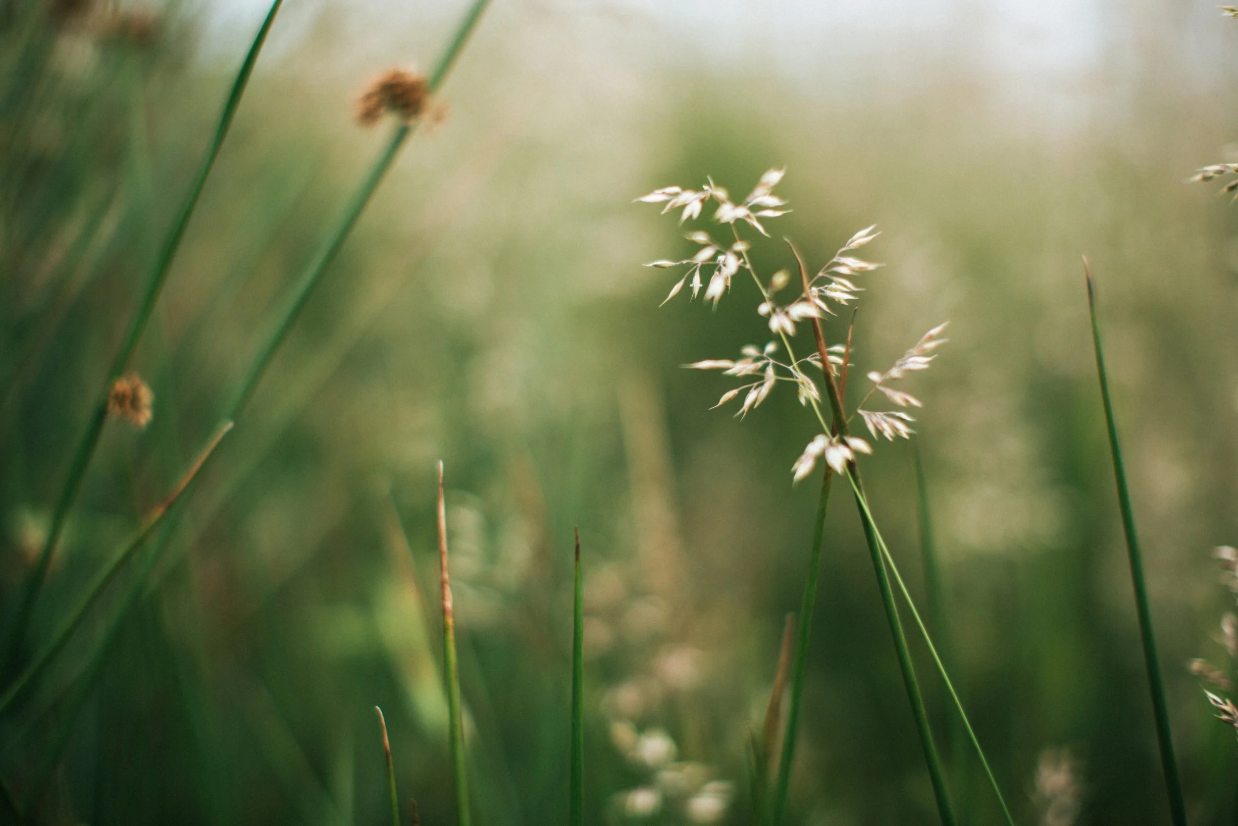 High-Functioning Anxiety: When You Look Fine but Feel Anything But