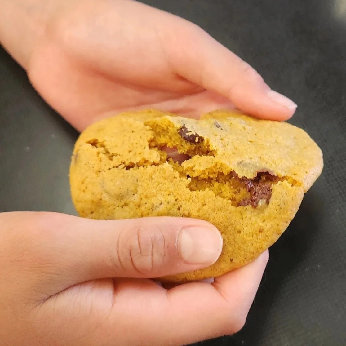 Ooey Gooey Gluten-Free Chocolate Chip Cookies