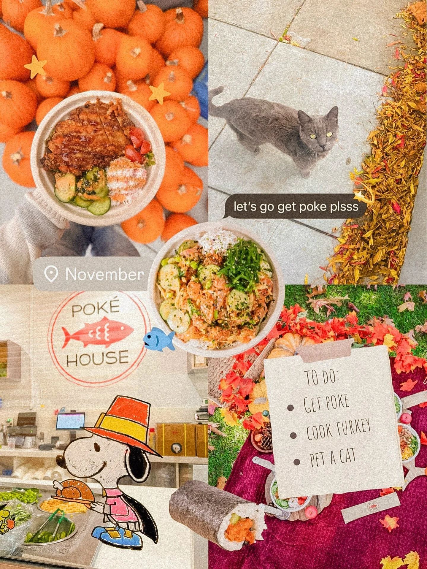 November so far 🫶🍁🐟