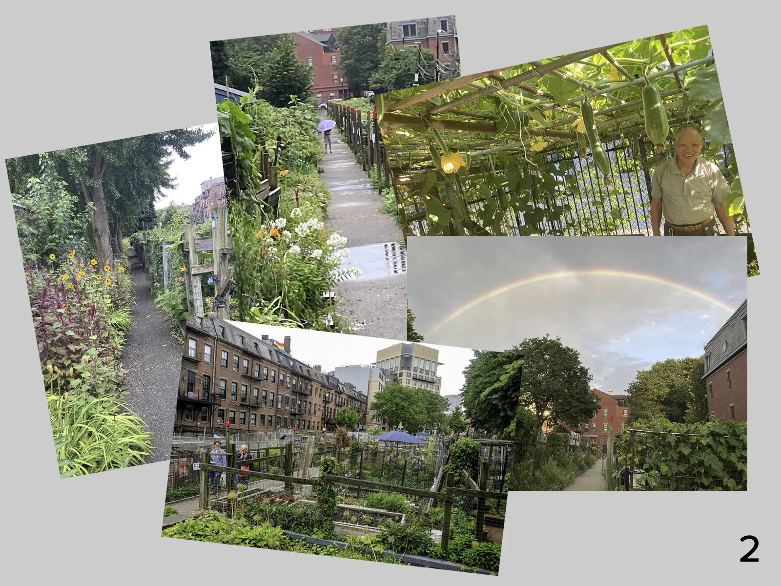 postcard collection_2.jpg