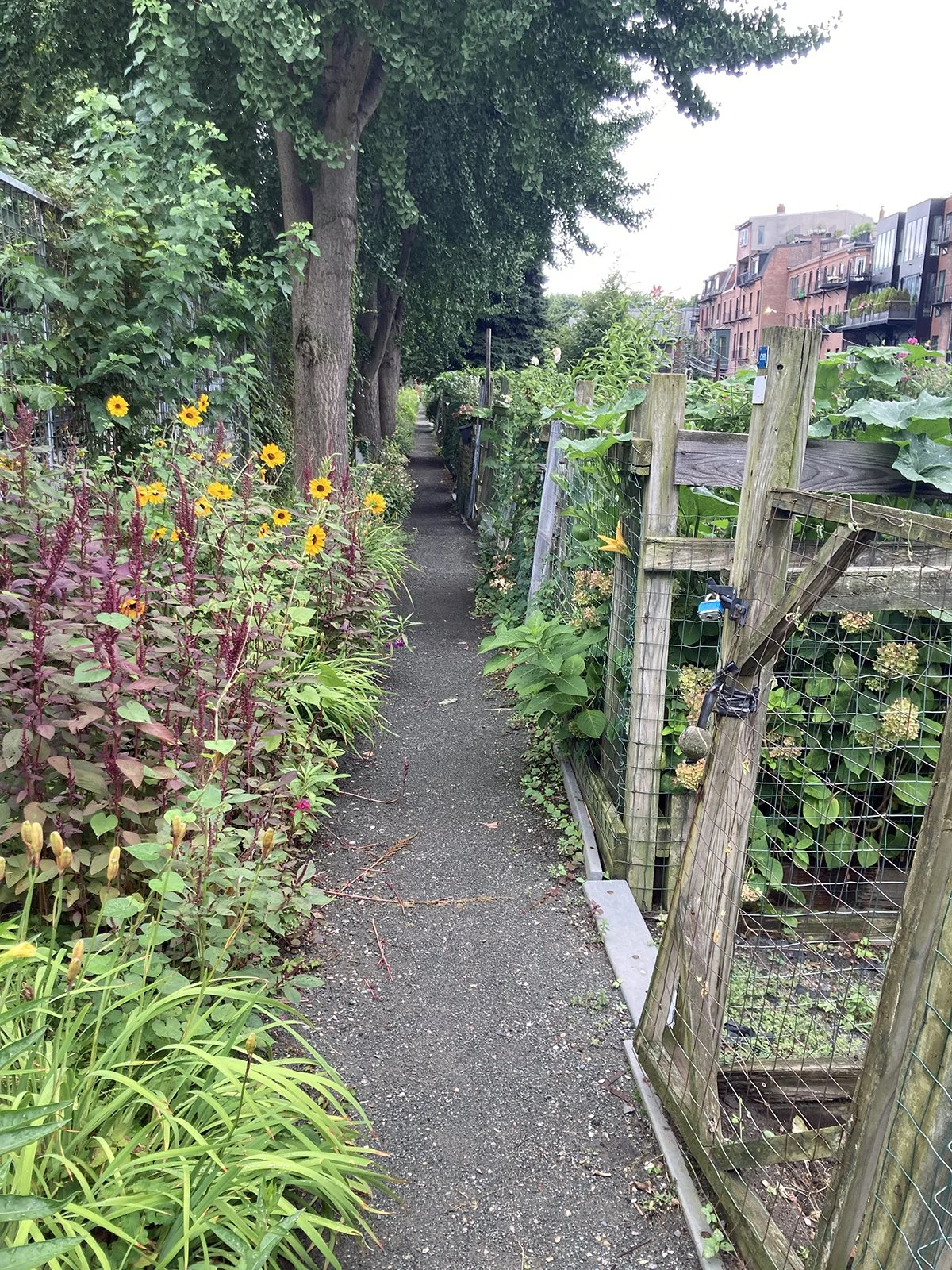 Berkeley Garden path 08-06_S.Hutt_1200px.jpg