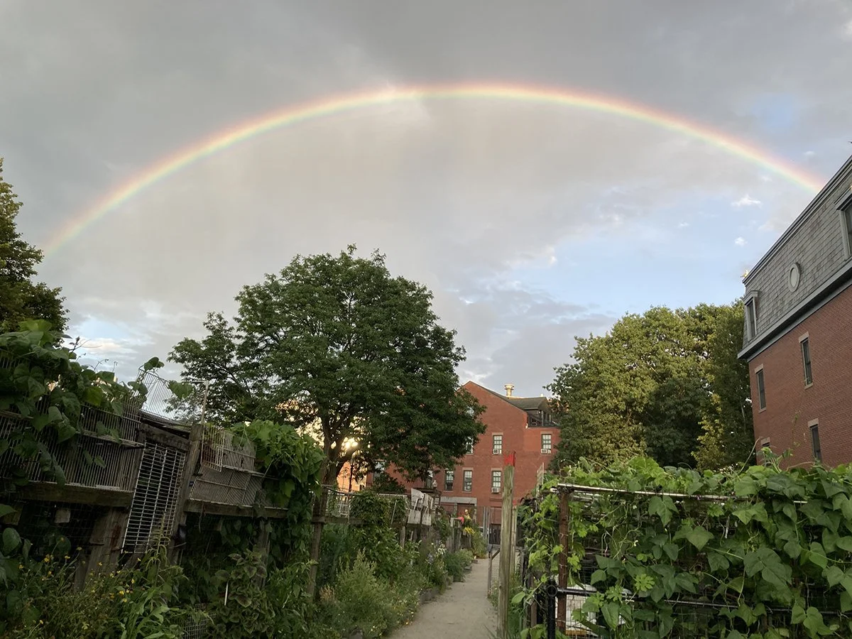 x1 Rainbow 2025 July_1200px.jpg