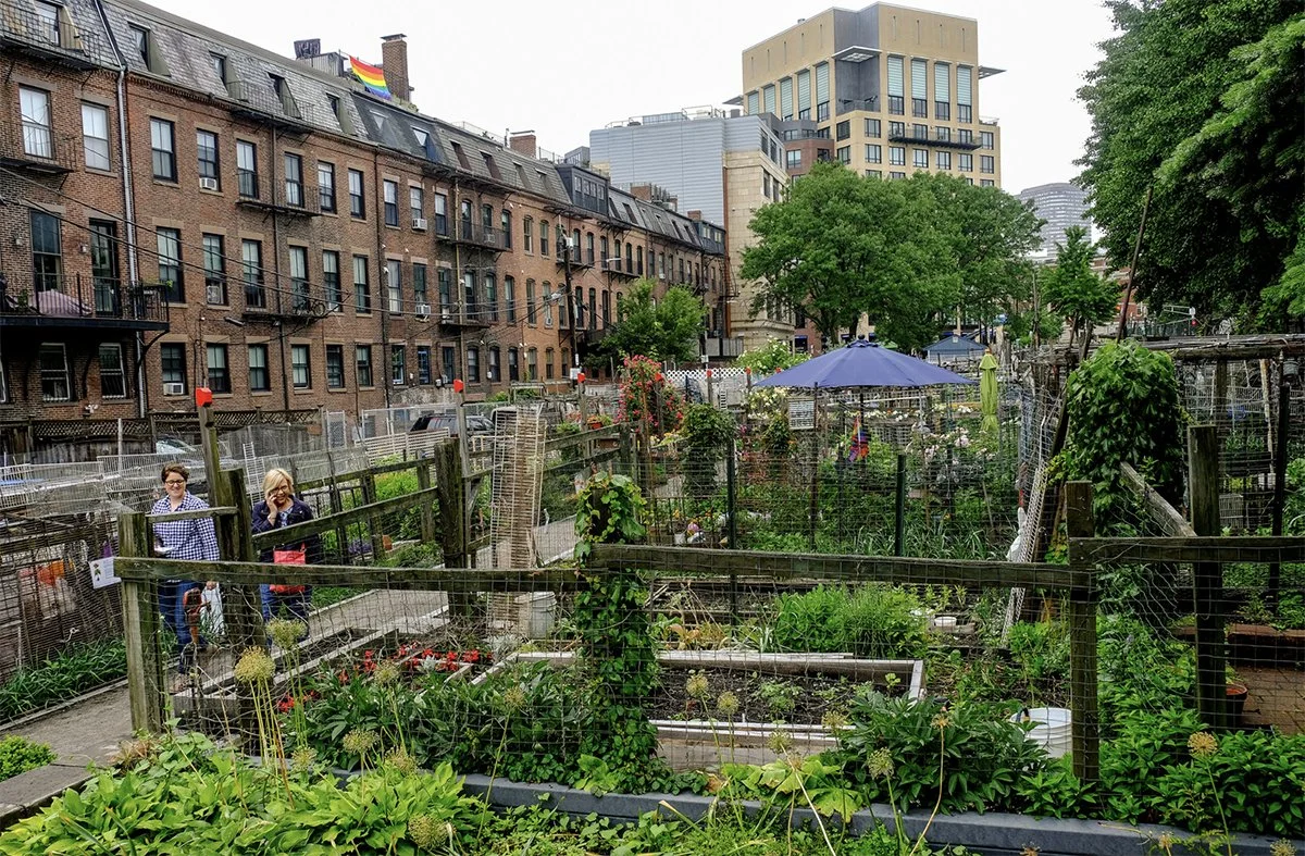 berkeley garden photo_1200px.jpg