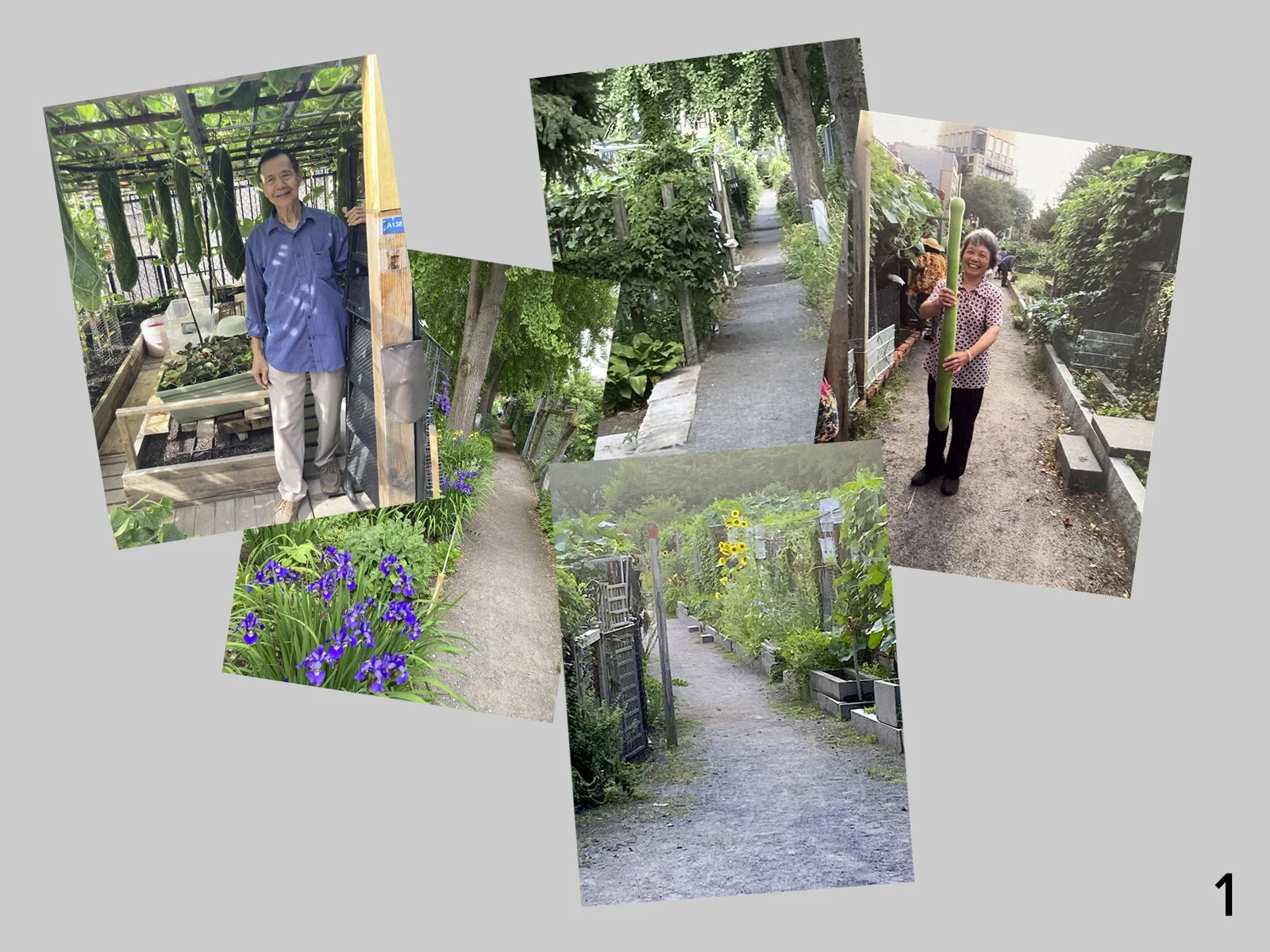 postcard collection.jpg