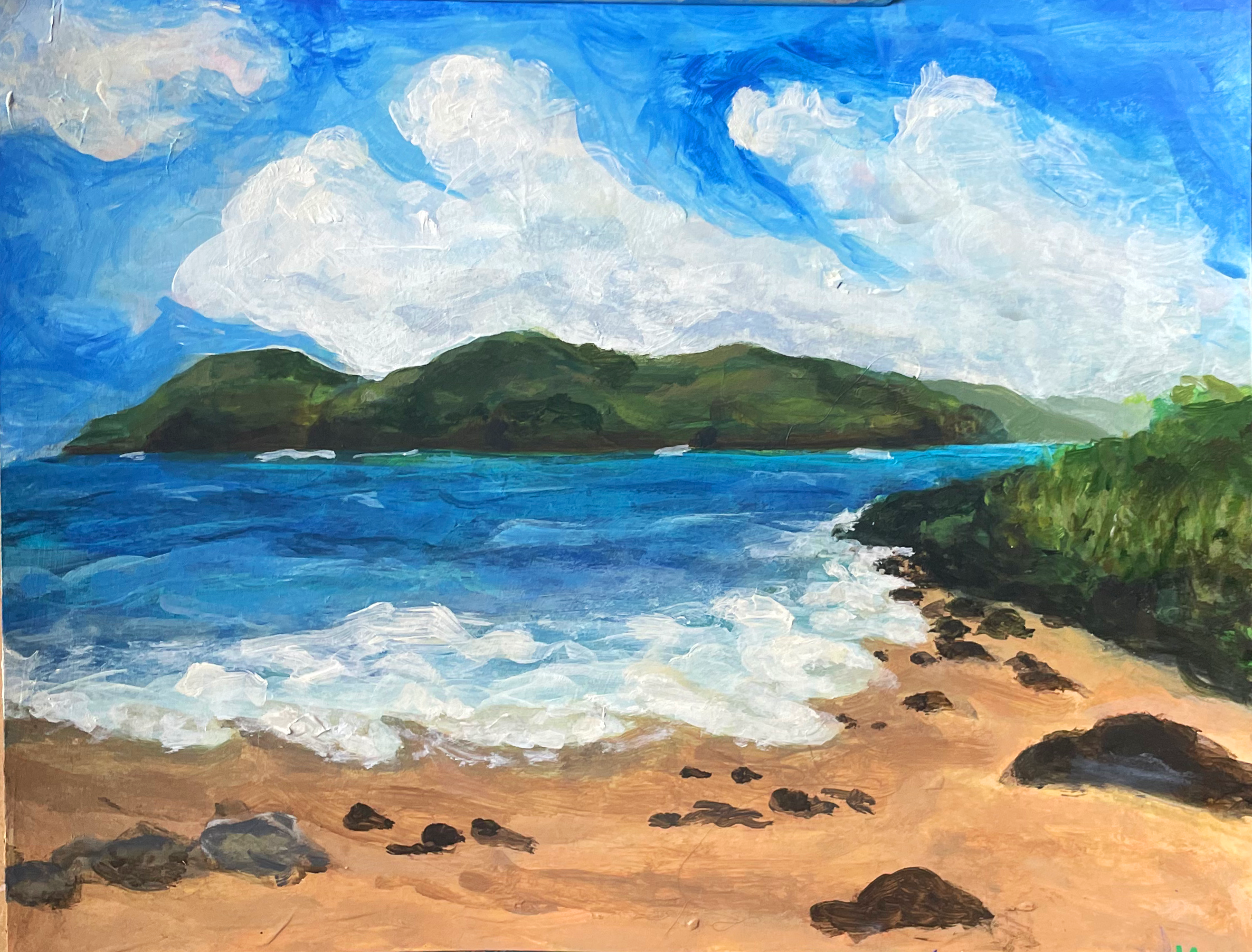hawaii copy.png