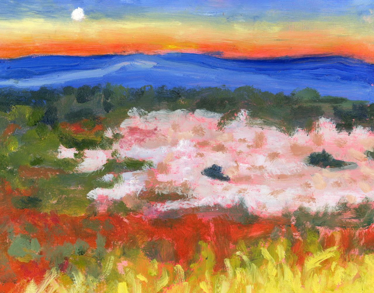 atoto_oil Large.png