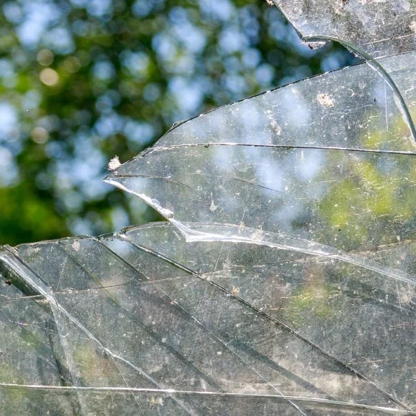 A broken window pane with the sun coming through.
