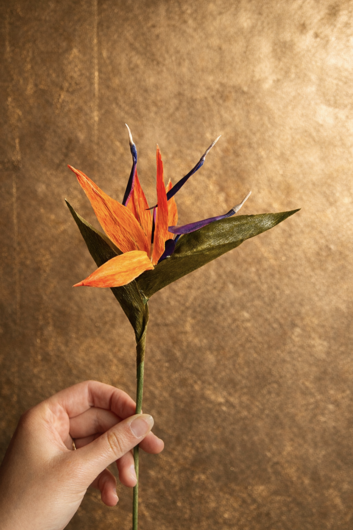 Paper Flower Workshop