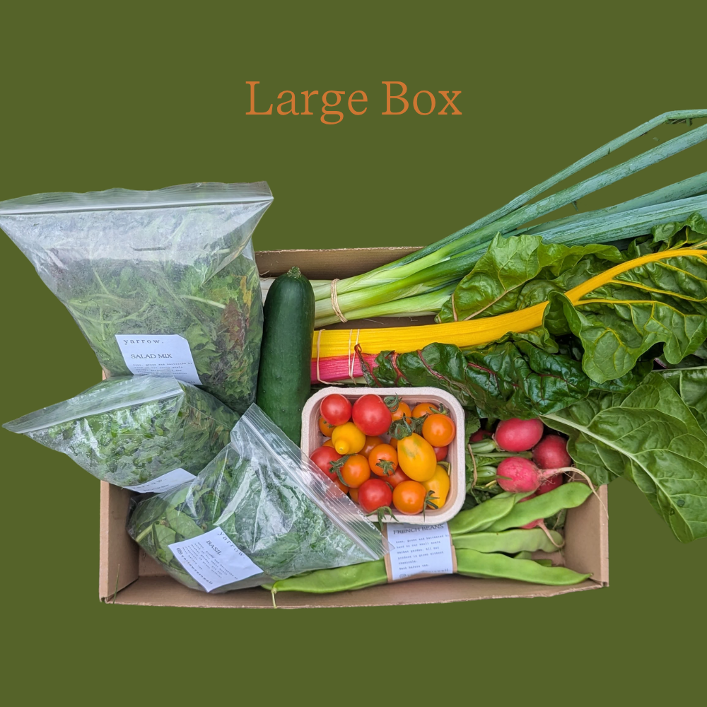 Local Veg Box