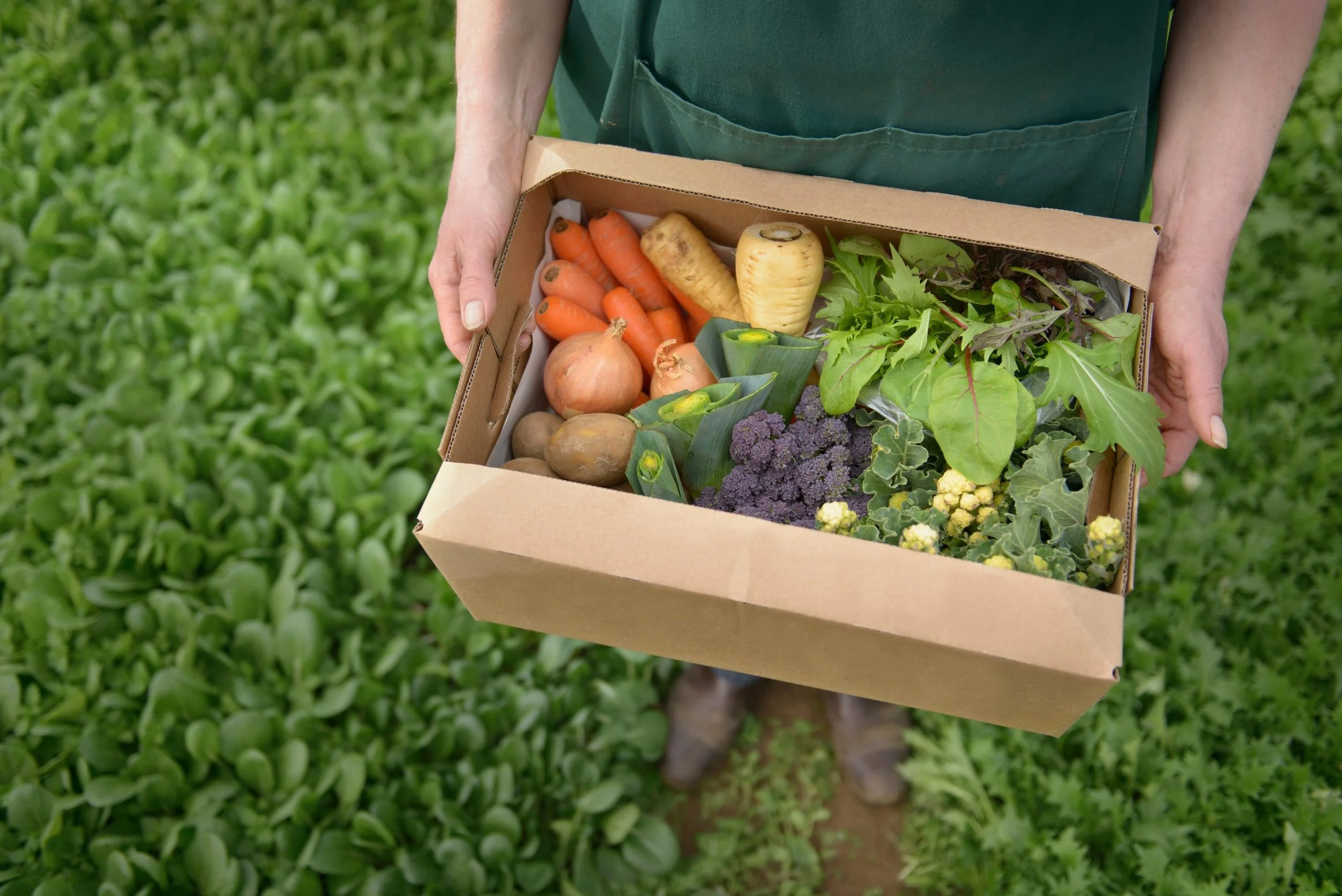Local Veg Box